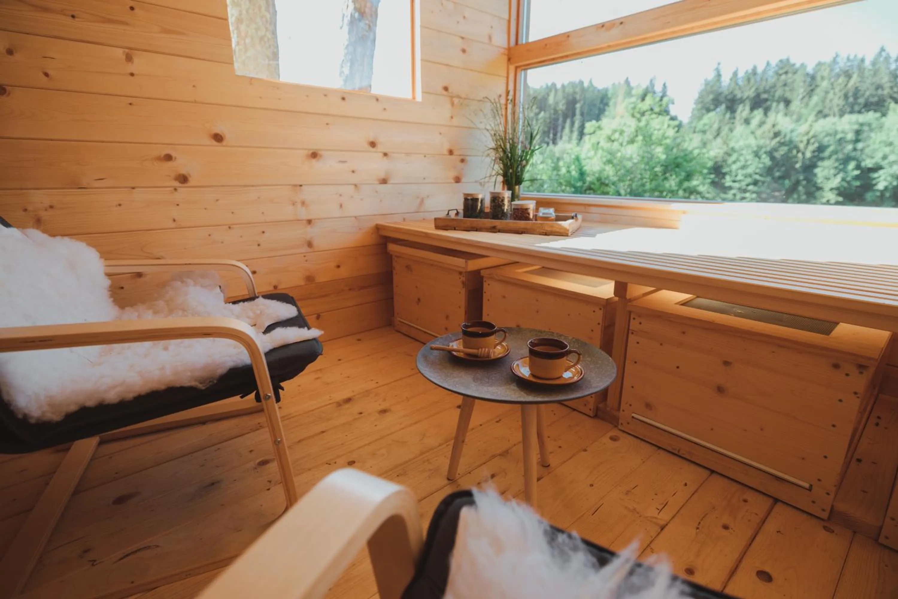 Spa and wellness centre/facilities in Tourist Farm Pr'Dovar