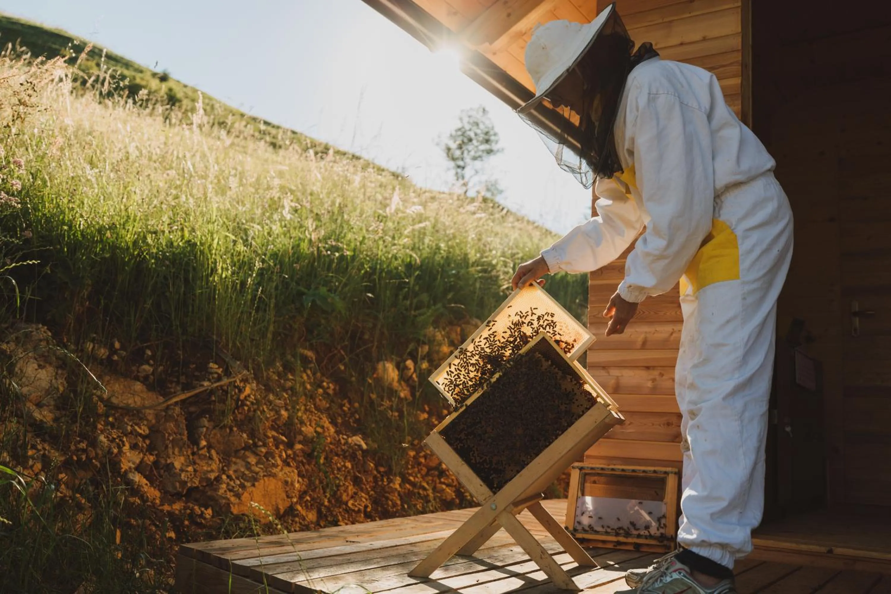 People in Tourist Farm Pr'Dovar