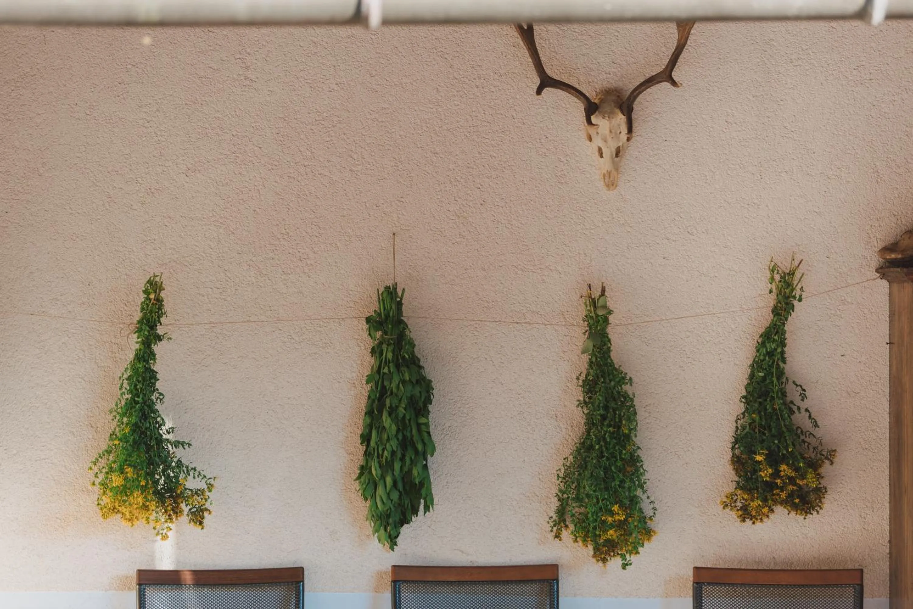 Decorative detail in Tourist Farm Pr'Dovar