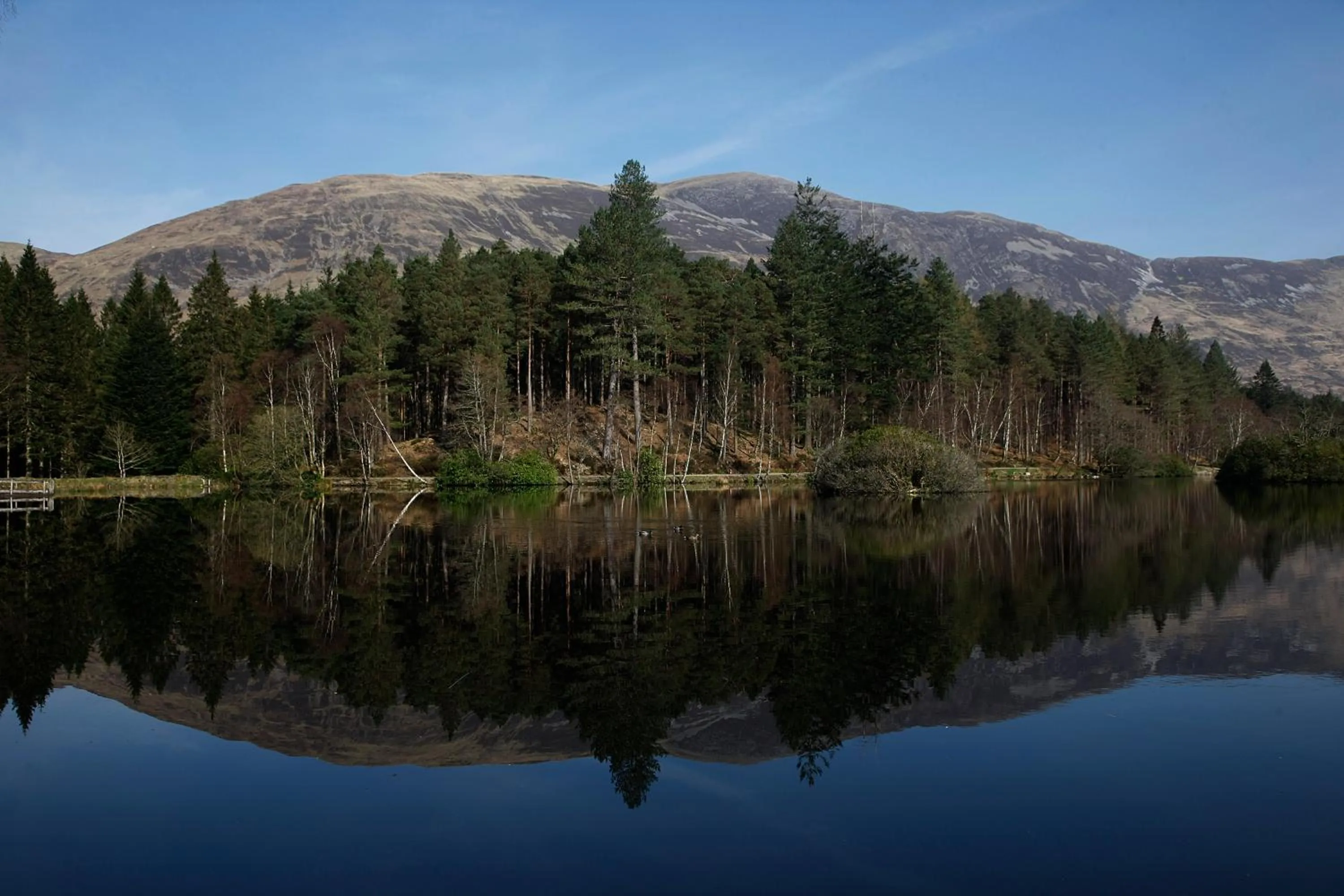 Area and facilities in Glencoe House