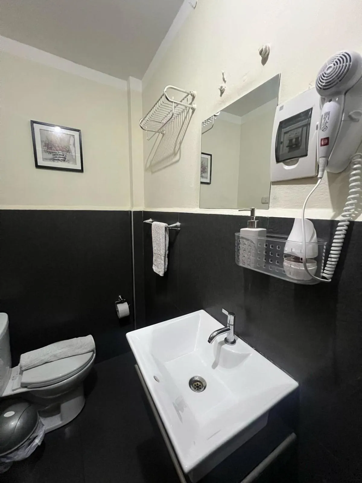 hair dryier in Lima Airport Tampu