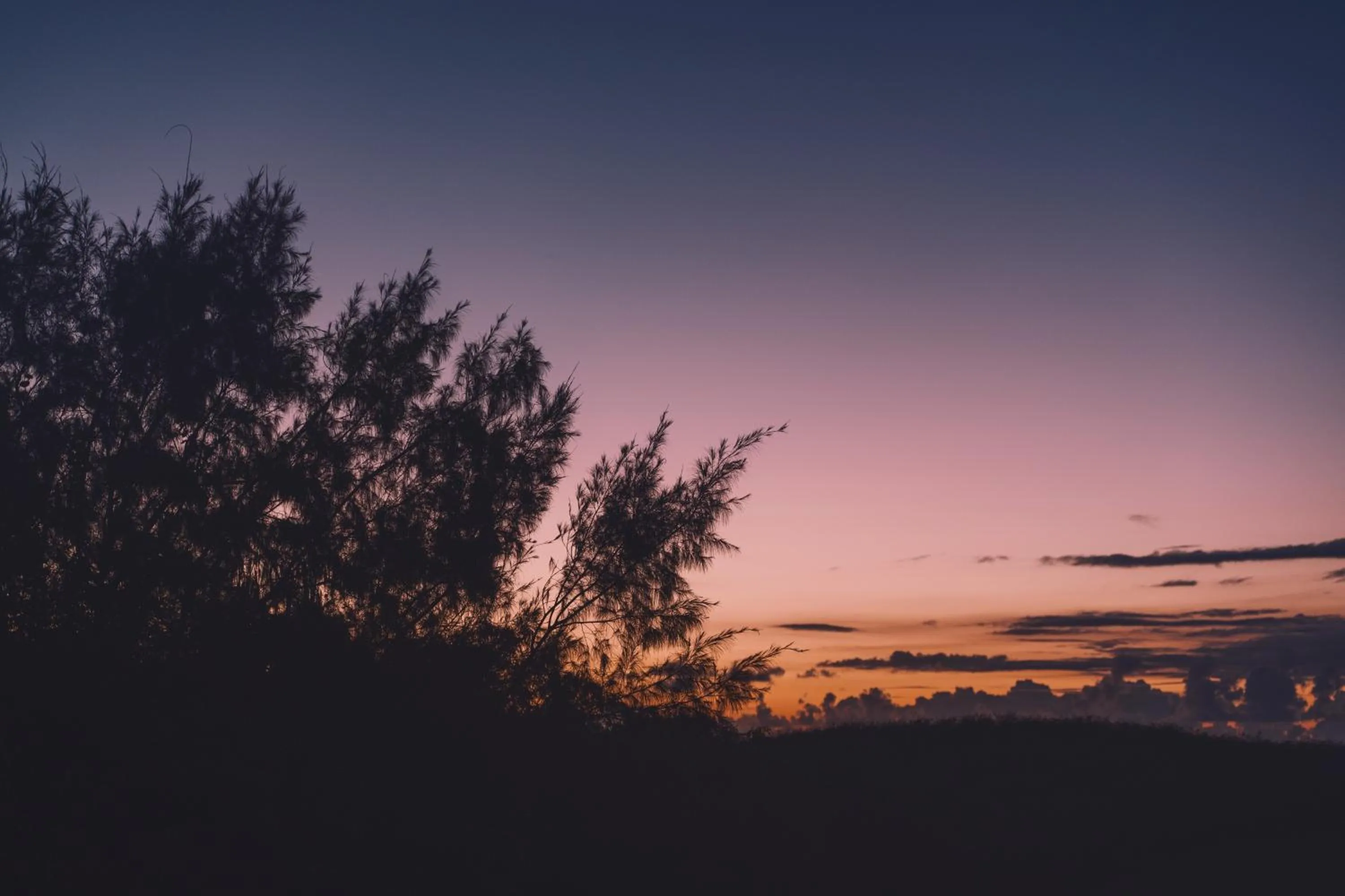 Other in BLANC MIYAKOJIMA 旧RuGu Glamping Resort