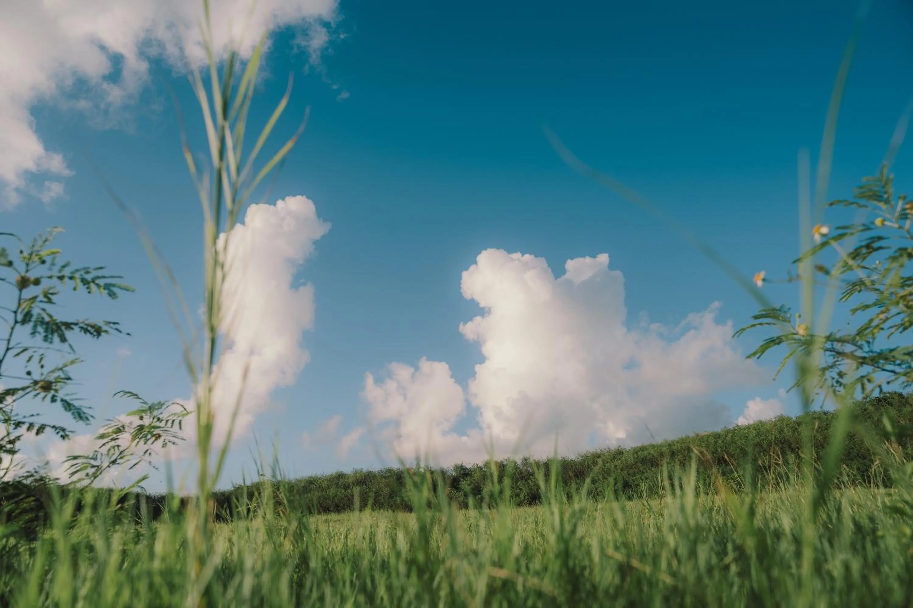 Other in BLANC MIYAKOJIMA 旧RuGu Glamping Resort