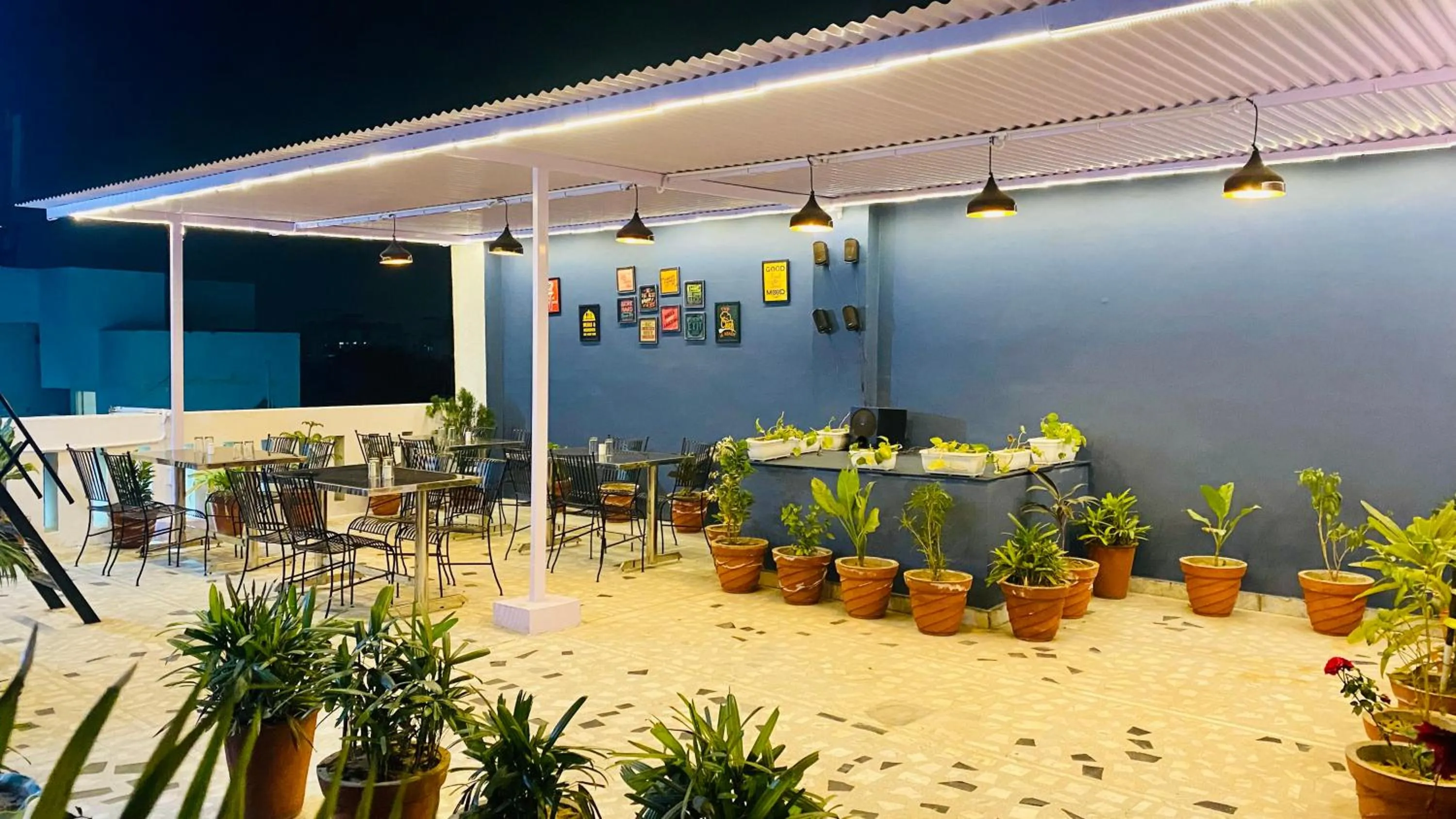 Garden view in Hotel Pulse Inn- Near Jaipur Railway Station