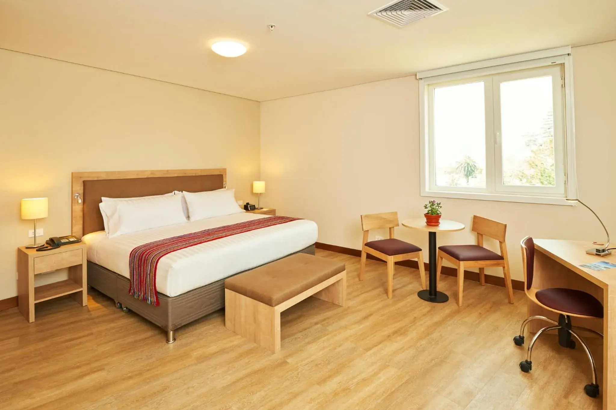 Photo of the whole room in Hotel Estelar San Isidro Photo of the whole room in Hotel Estelar San Isidro