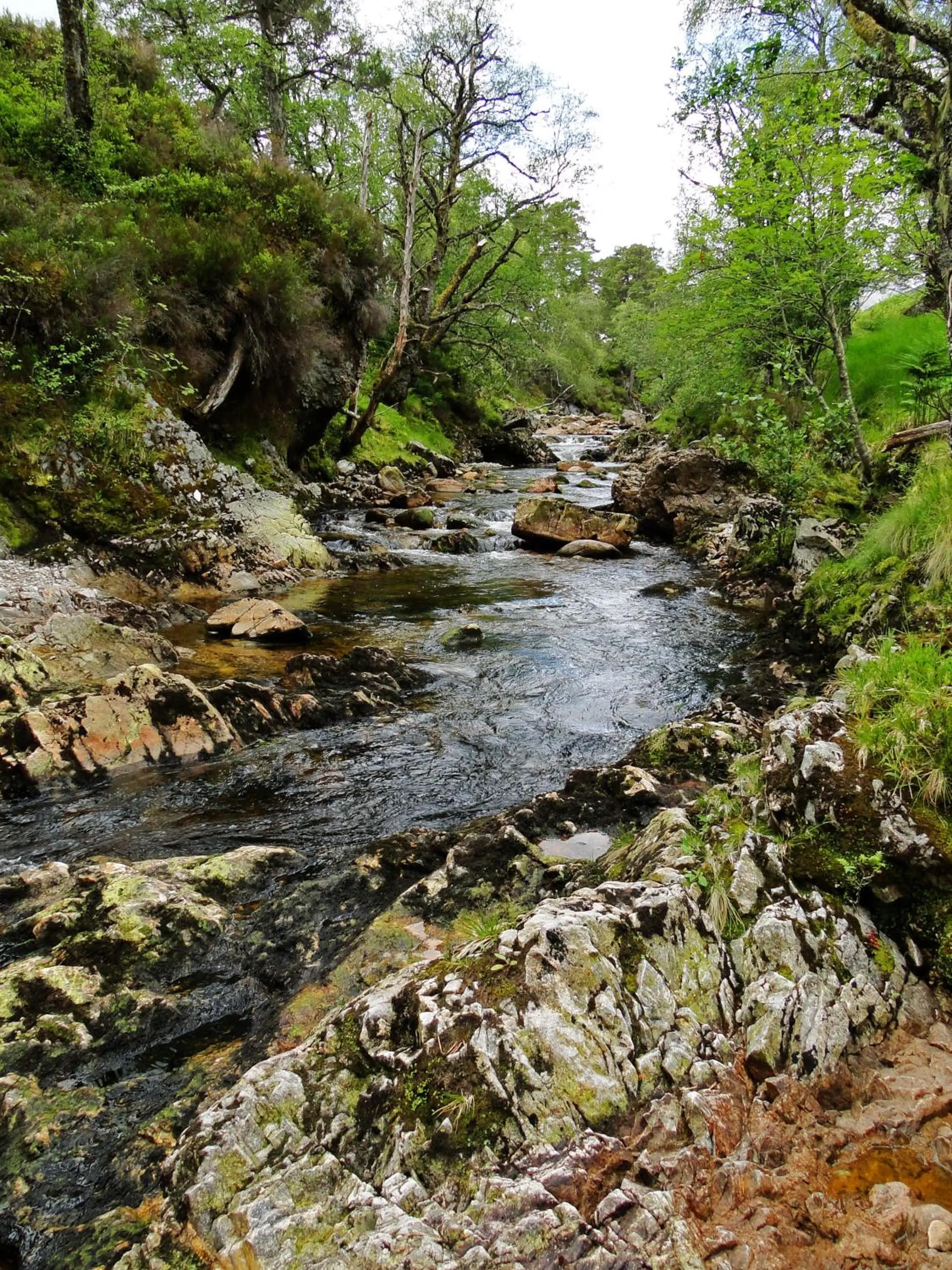 Area and facilities in Park Guest House