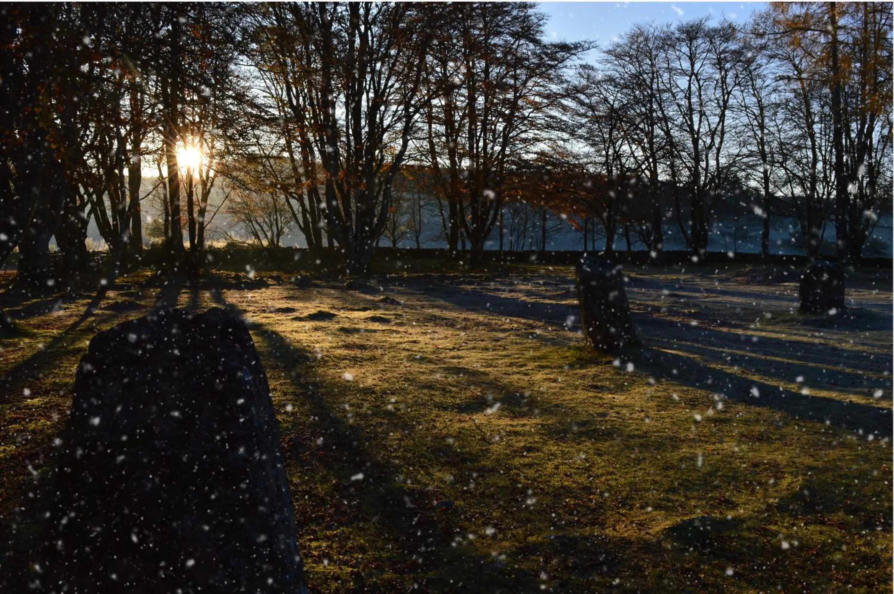 Neighbourhood in Park Guest House