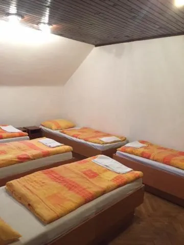 Bed in Youth Hostel Nika