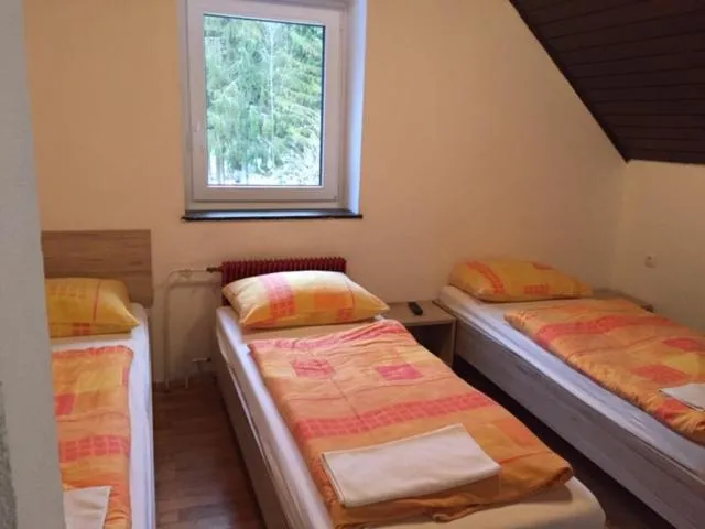 Bedroom, Bed in Youth Hostel Nika