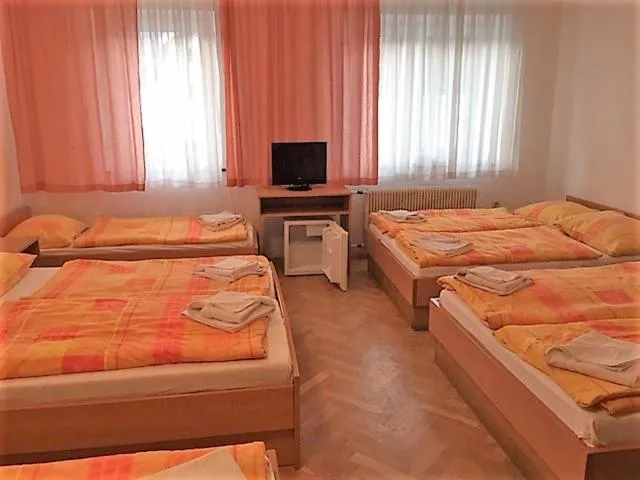Photo of the whole room, Bed in Youth Hostel Nika