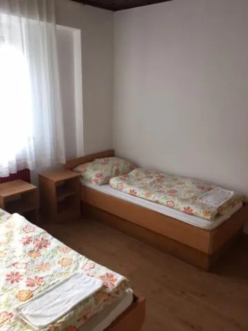 Bed in Youth Hostel Nika