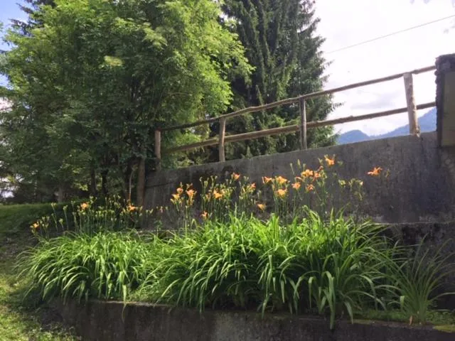 Garden in Youth Hostel Nika