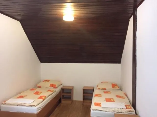 Photo of the whole room, Bed in Youth Hostel Nika