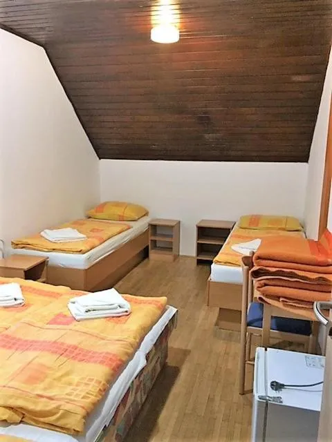 Bed in Youth Hostel Nika