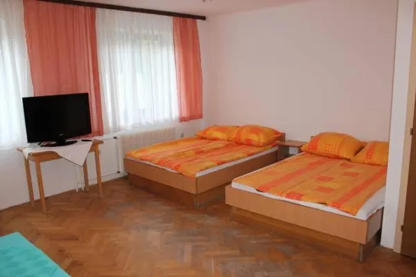 Bed in Youth Hostel Nika