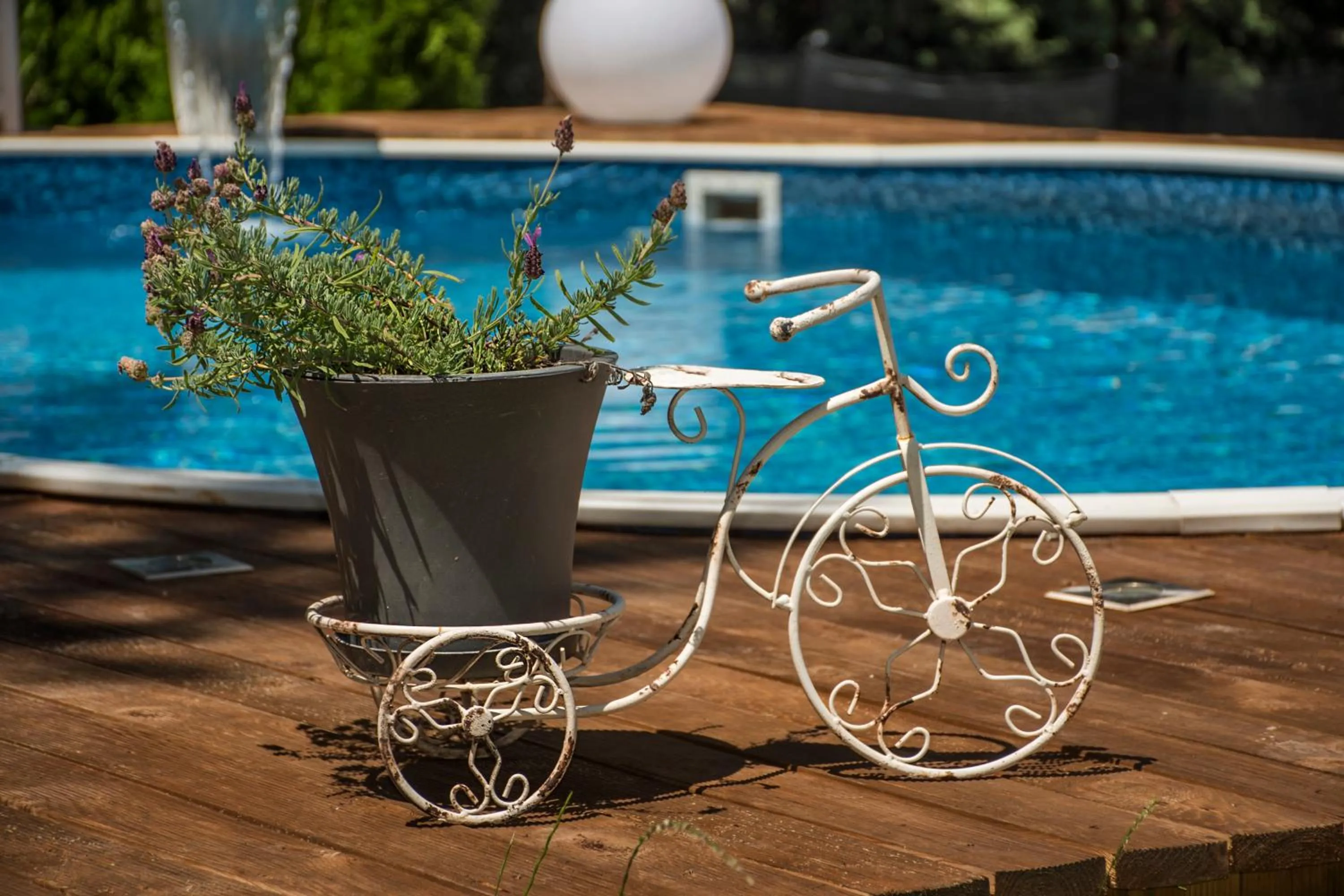 Decorative detail in Guest House Slunchev Cviat