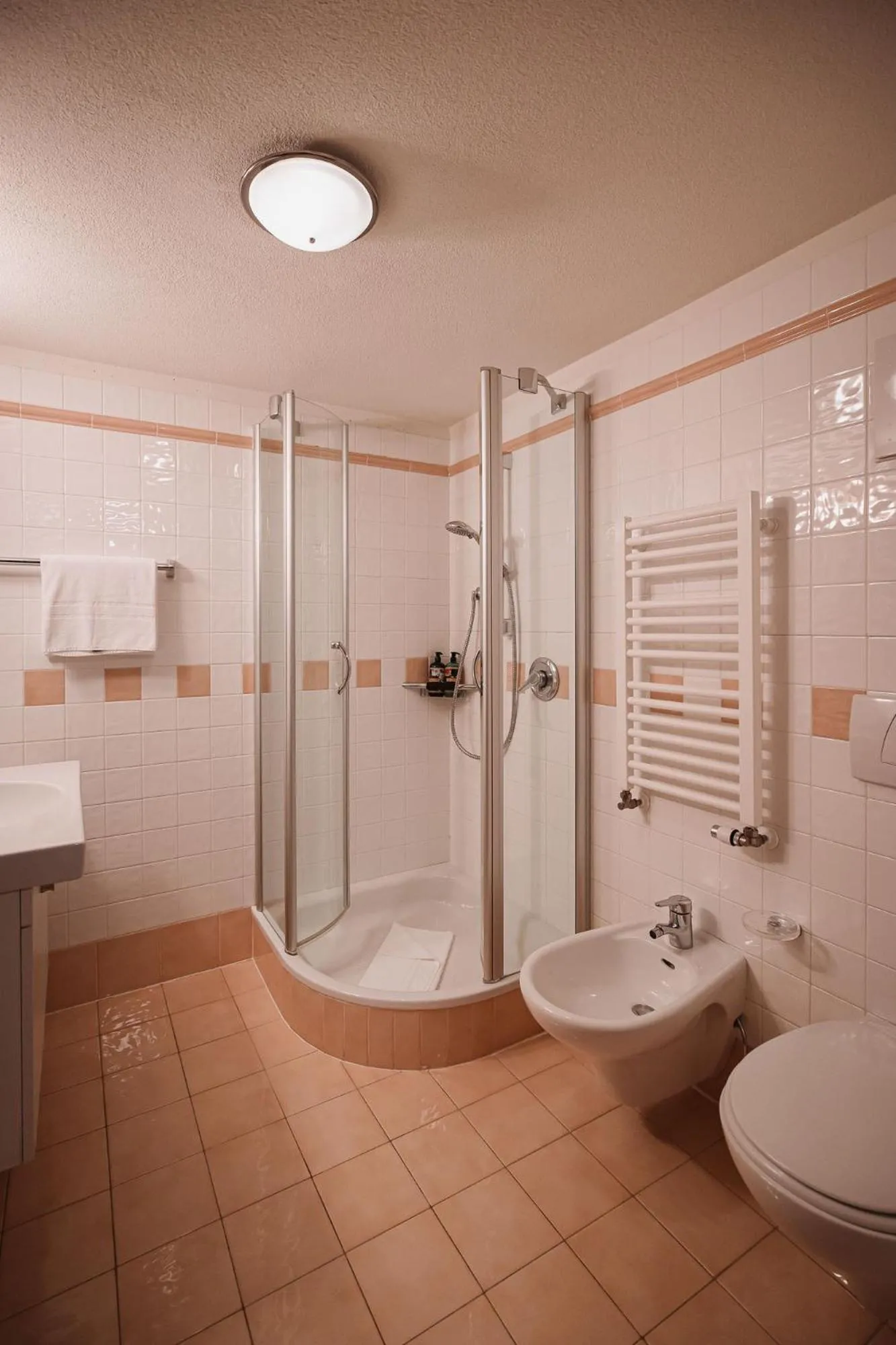 Bathroom in Nancy's Holiday Homes Dolomites