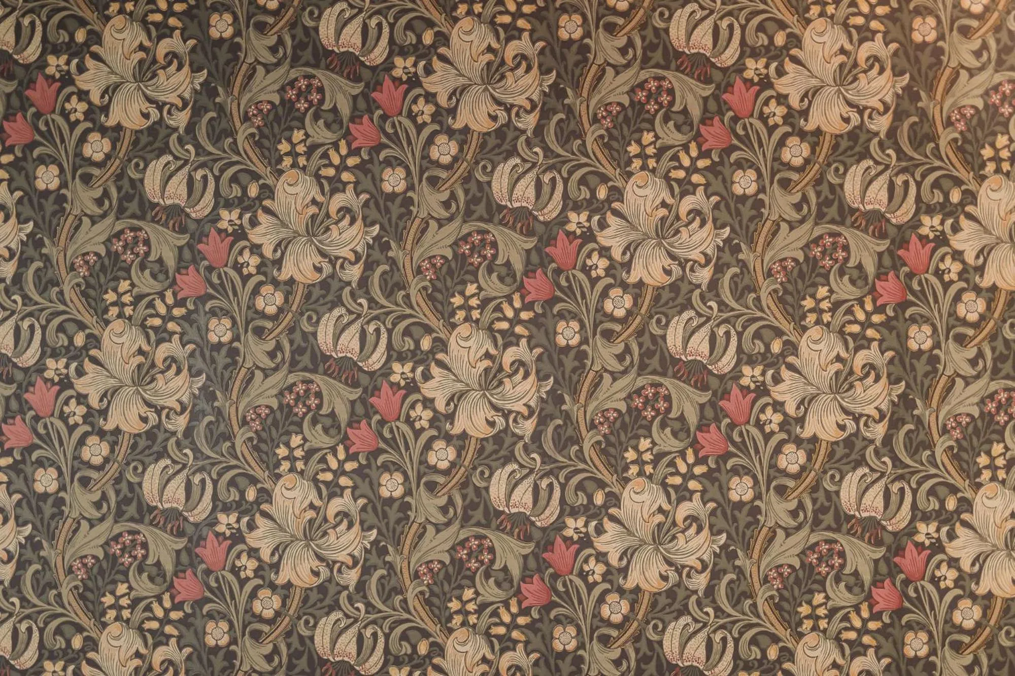 Decorative detail in Nancy's Holiday Homes Dolomites