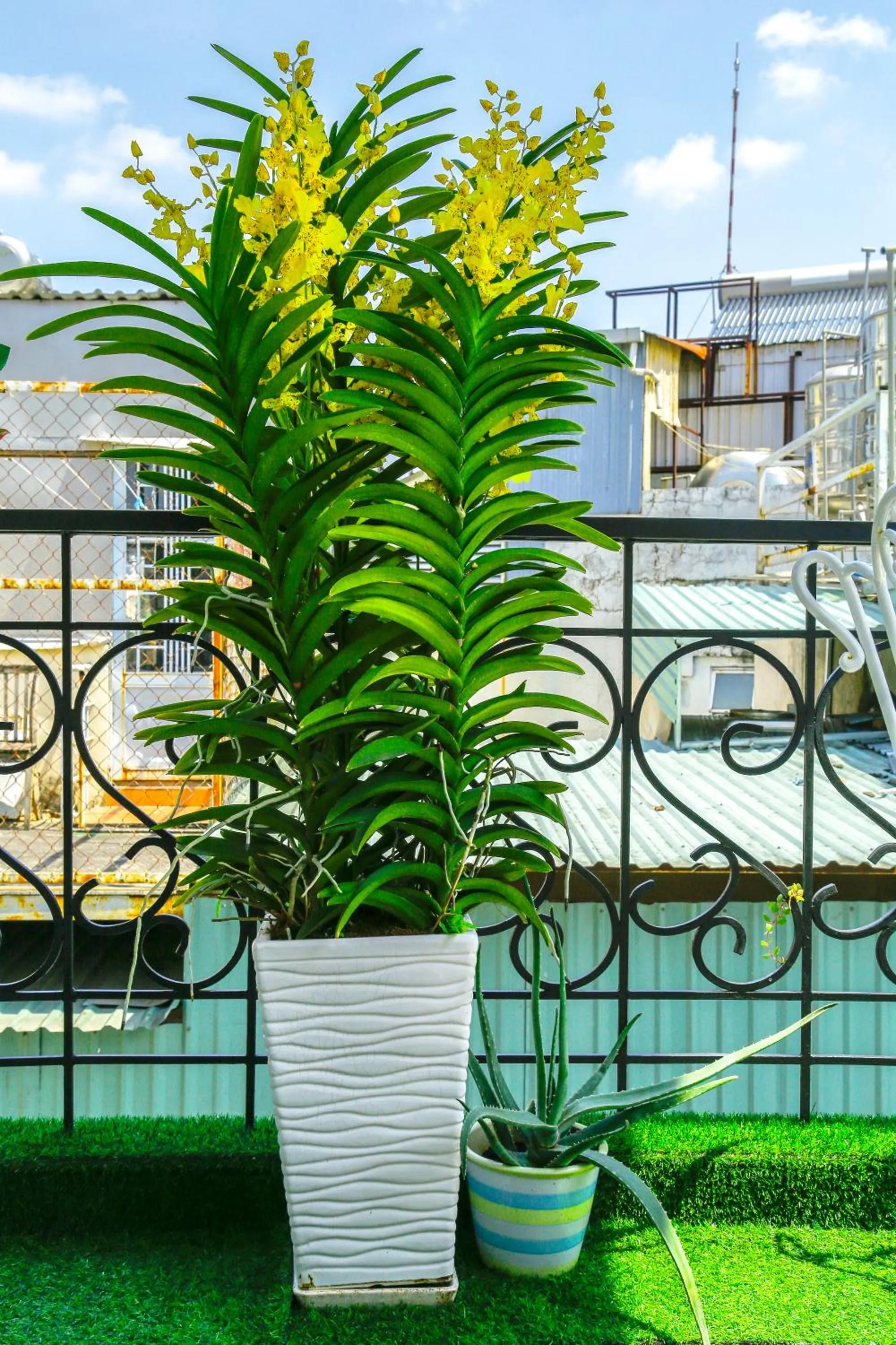 Louis Hotel - Bui Vien Walking Street