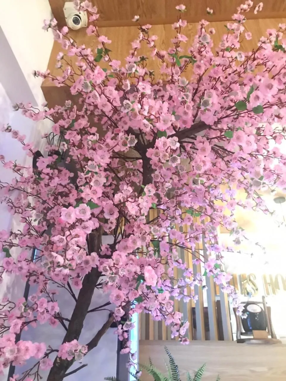 Property building in Louis Hotel - Bui Vien Walking Street