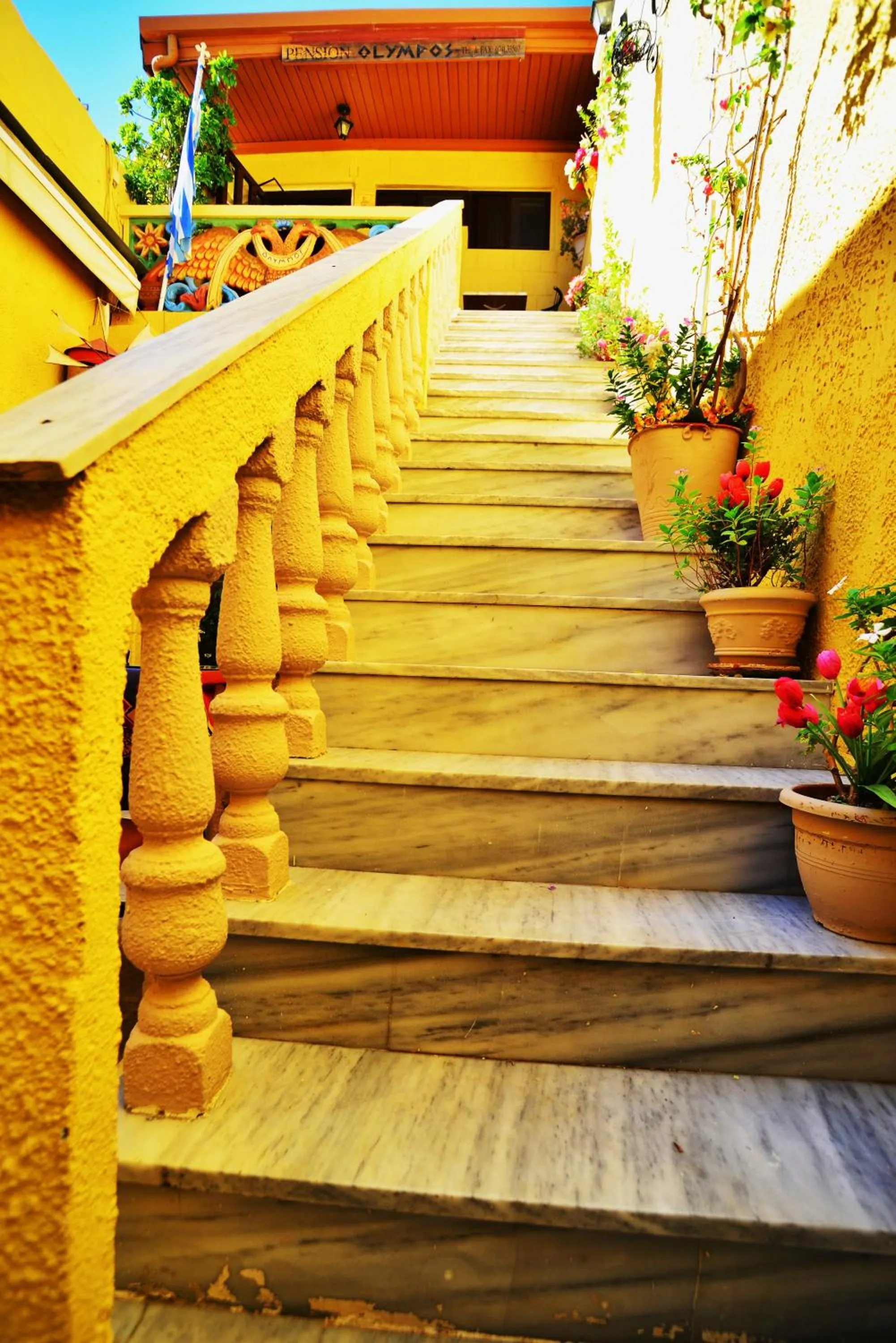 Bird's eye view in Olympos Pension