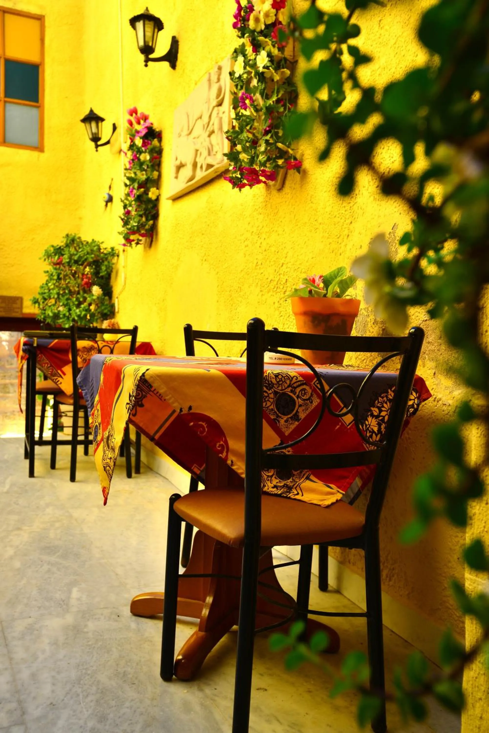 Patio in Olympos Pension