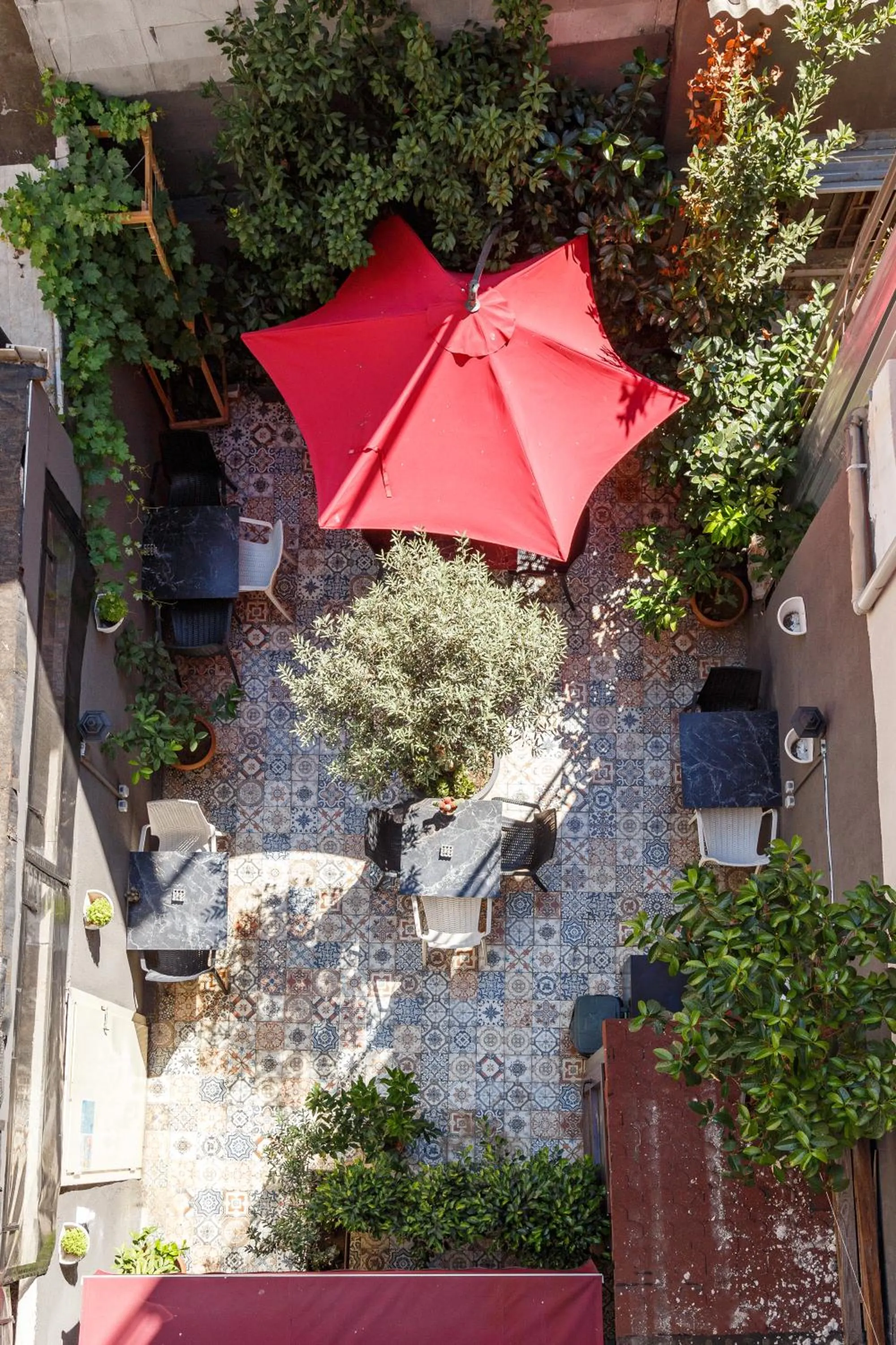 Garden in Hotel Miro Mansion Old City