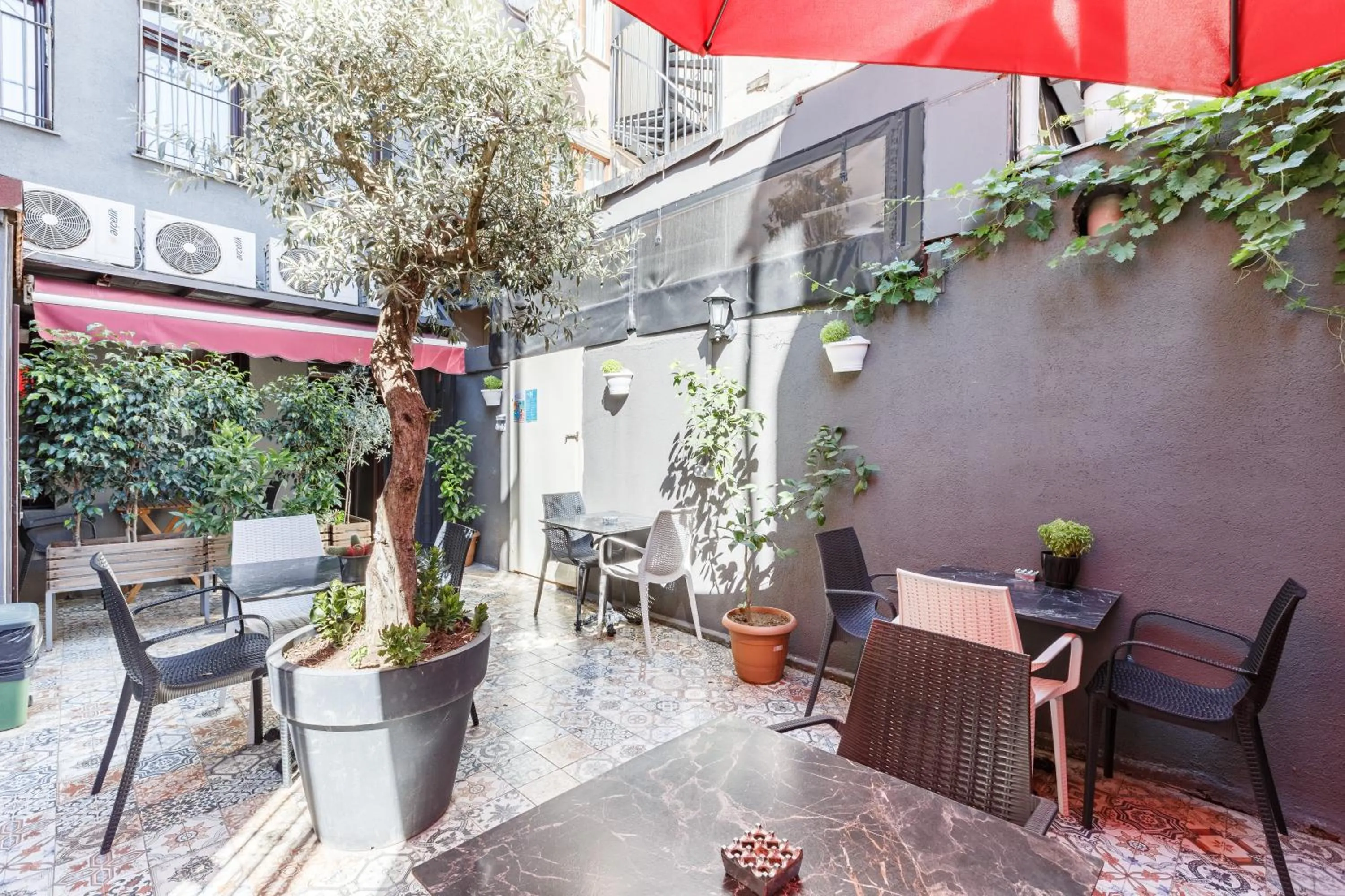 Garden in Hotel Miro Mansion Old City