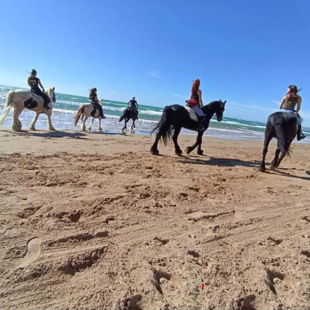Horse-riding in Ballium Luxury Relais
