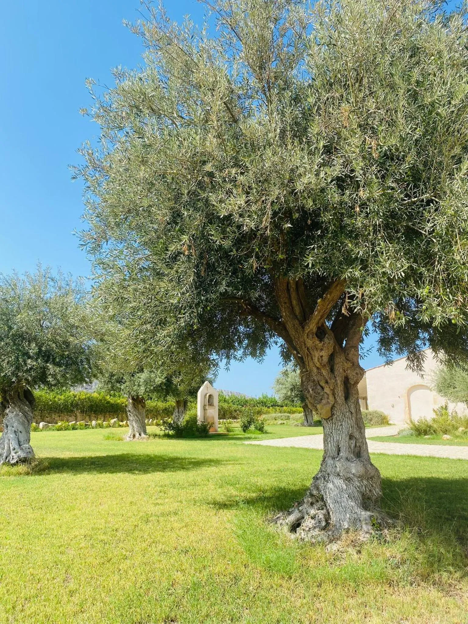 Garden in Ballium Luxury Relais