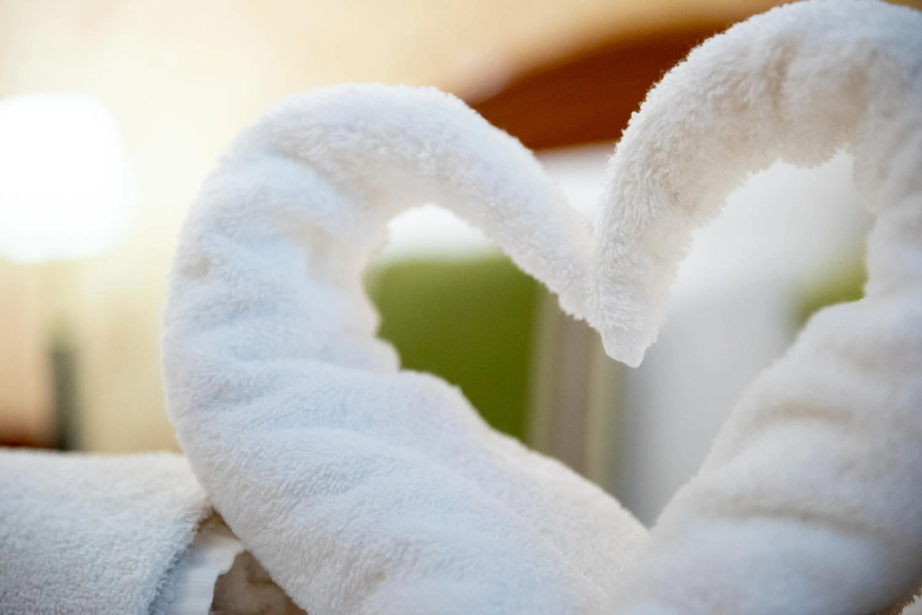 Photo of the whole room in Nyerges Hotel Termál Superior