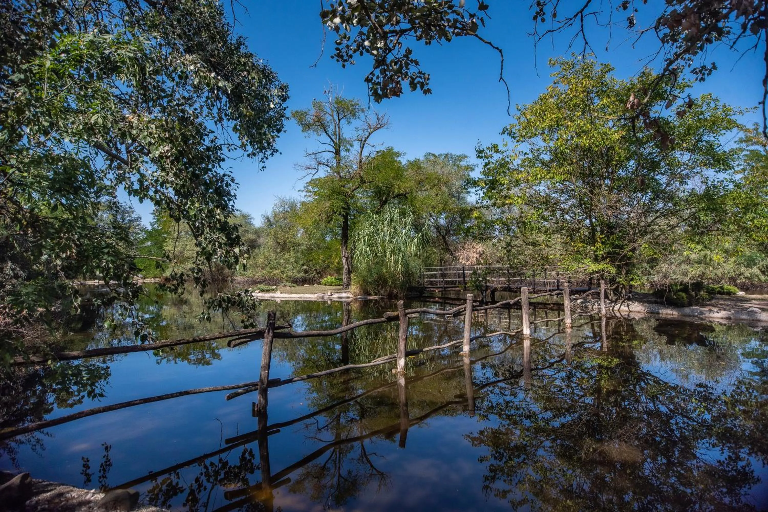 Garden in Nyerges Hotel Termál Superior