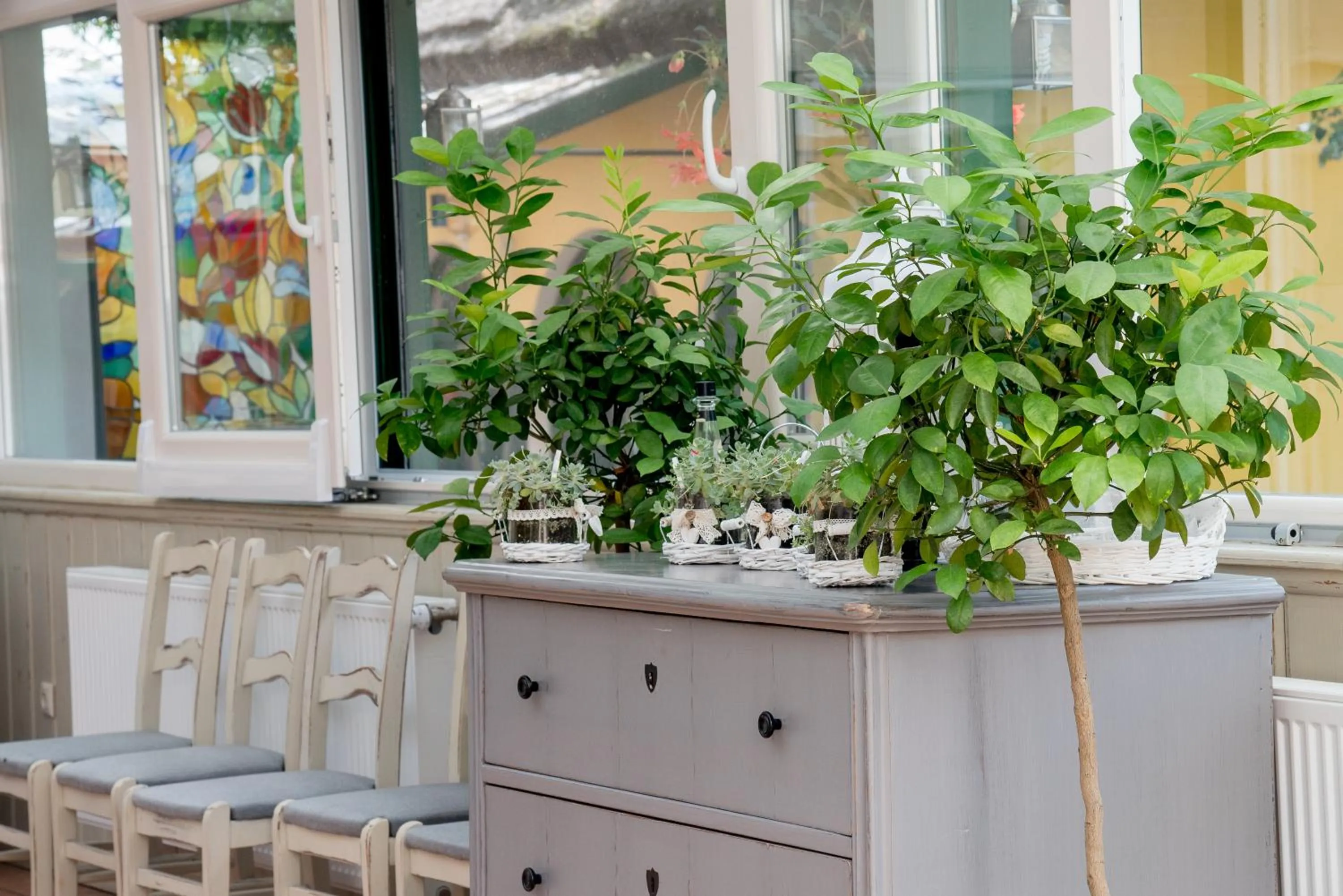 Restaurant/places to eat in Nyerges Hotel Termál Superior