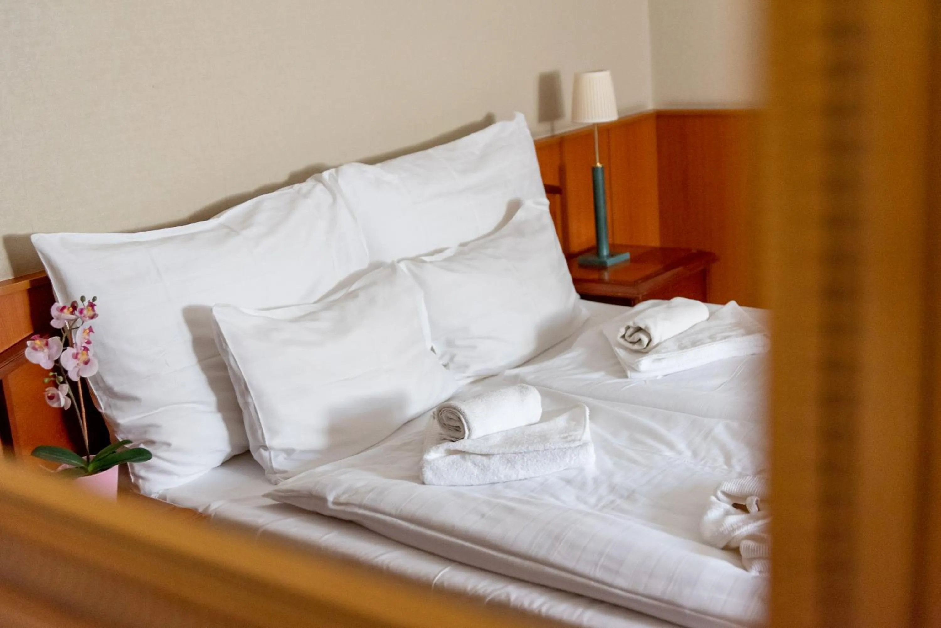 Photo of the whole room, Bed in Nyerges Hotel Termál Superior