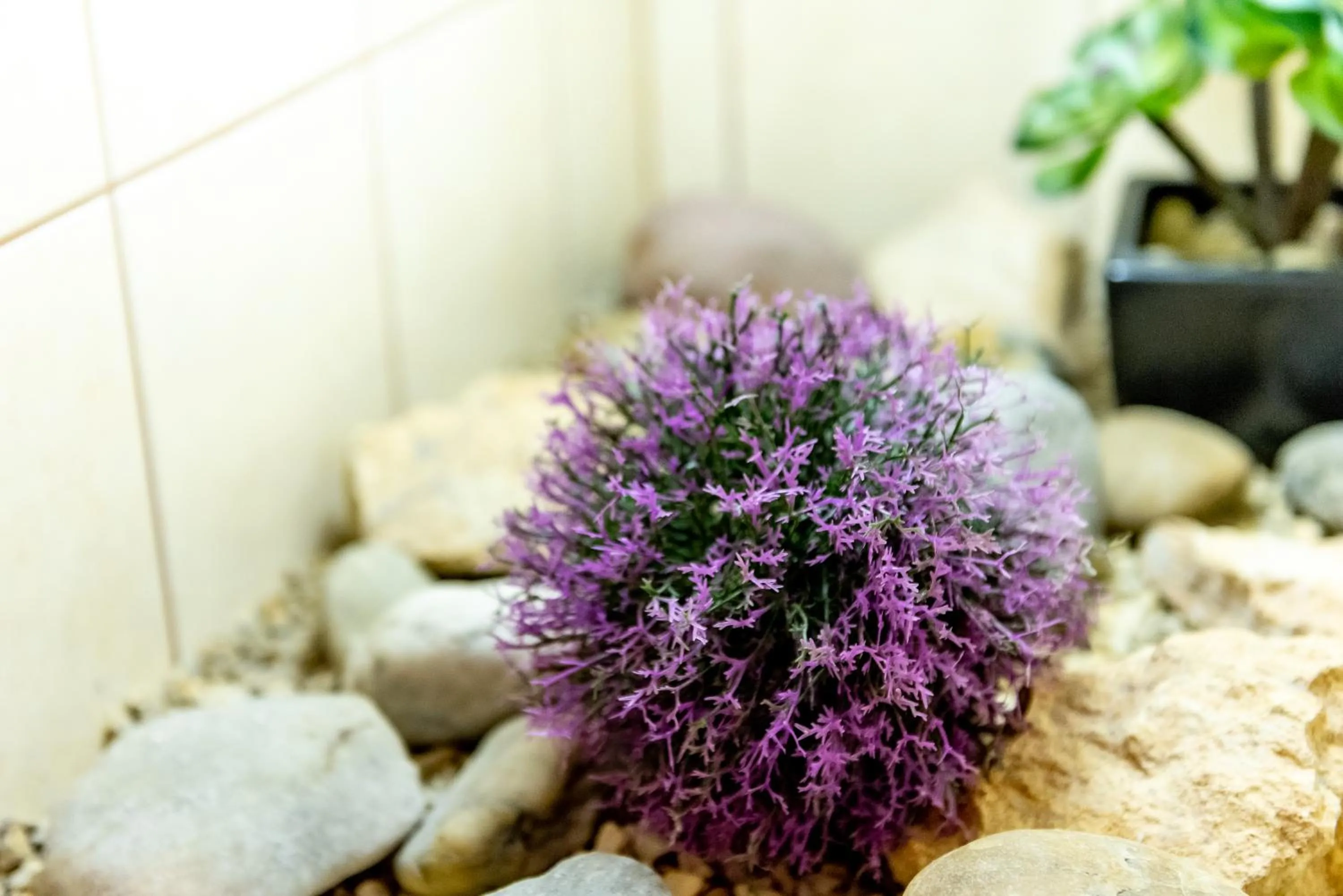 Bathroom in Nyerges Hotel Termál Superior