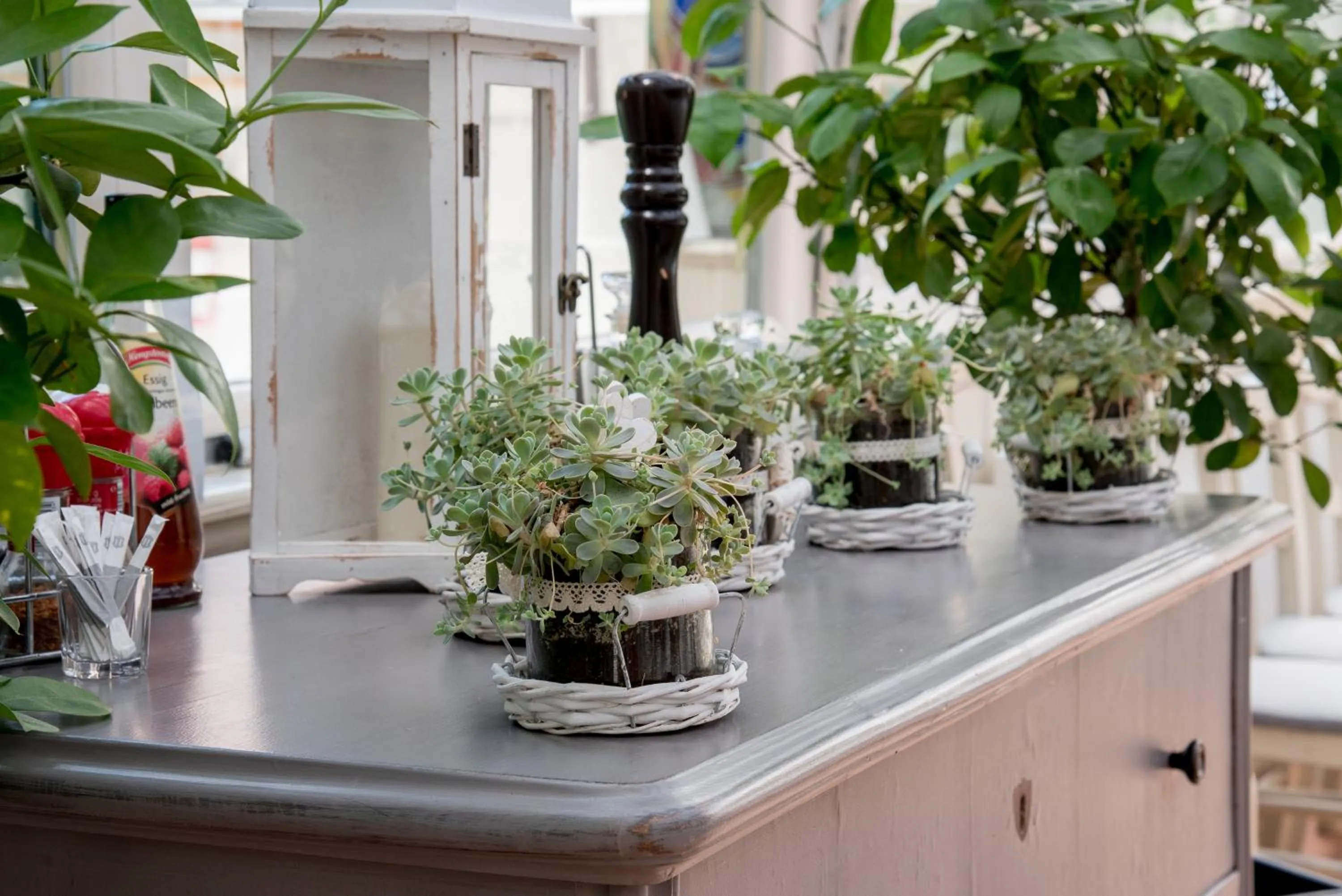 Restaurant/places to eat in Nyerges Hotel Termál Superior