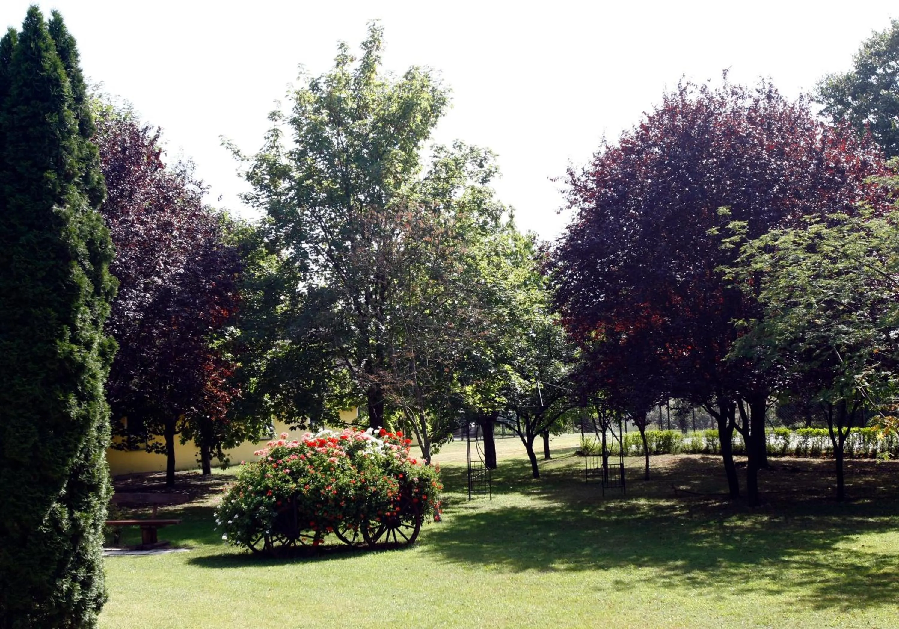 Garden in Nyerges Hotel Termál Superior