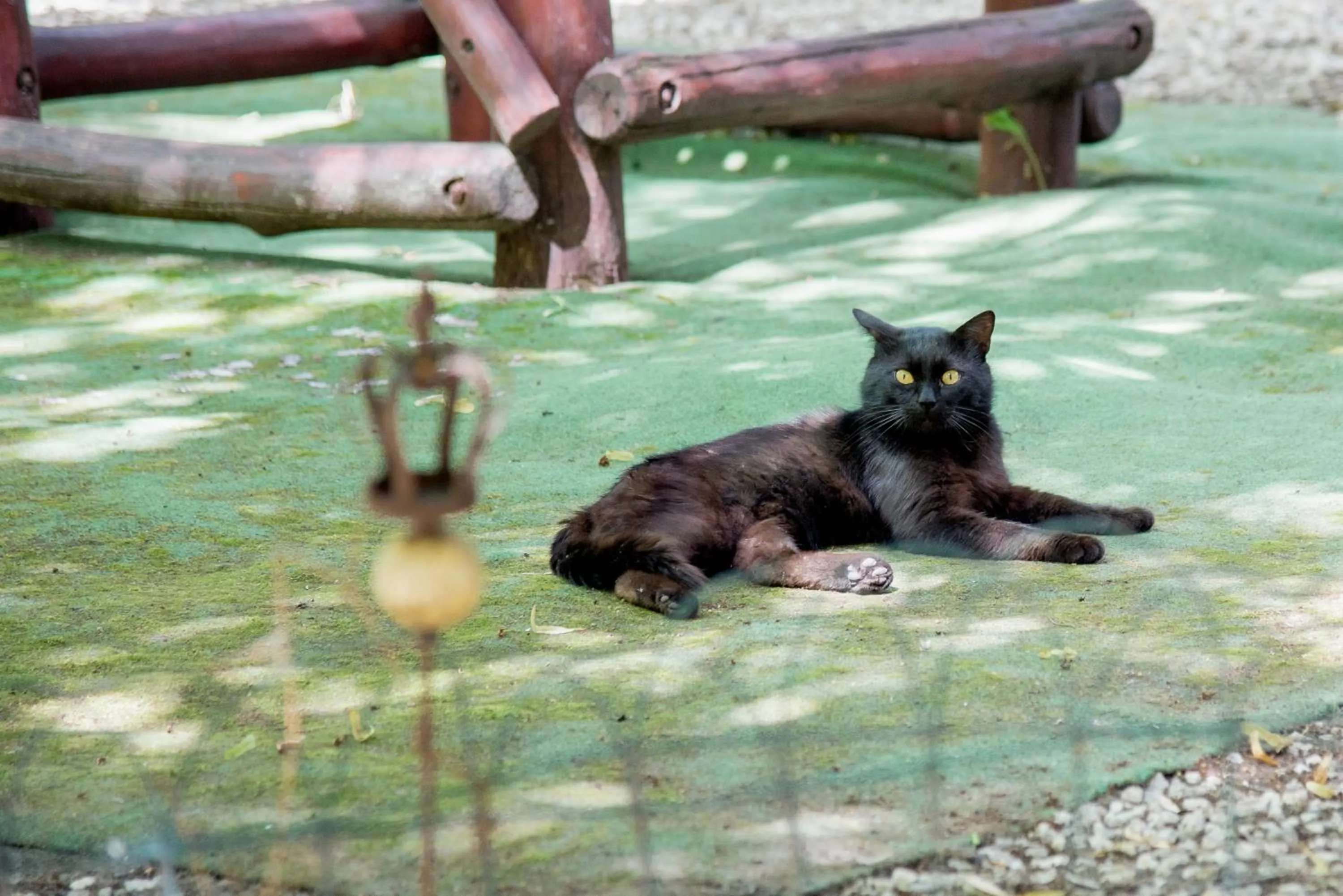 Balcony/Terrace in Nyerges Hotel Termál Superior