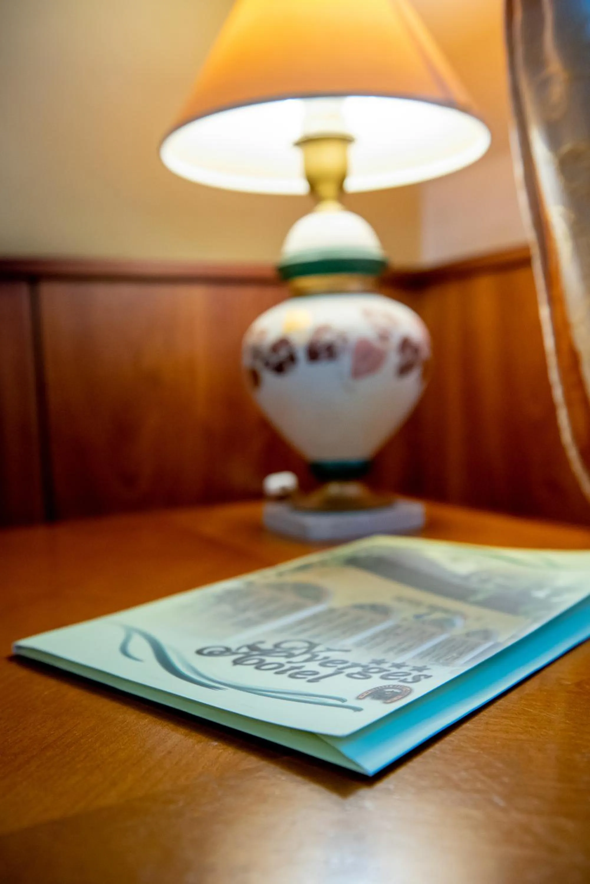 Photo of the whole room in Nyerges Hotel Termál Superior