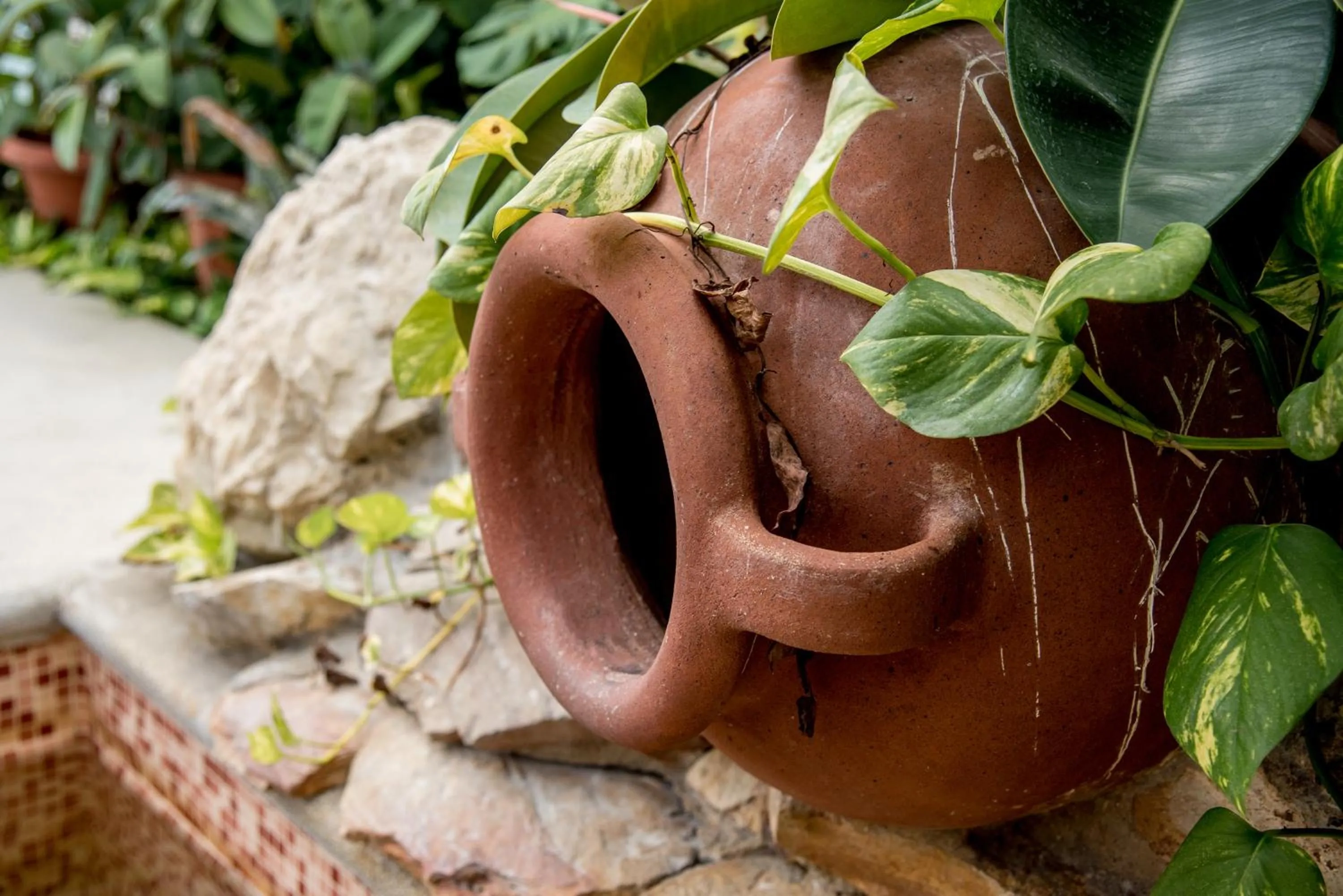 Hot Spring Bath in Nyerges Hotel Termál Superior