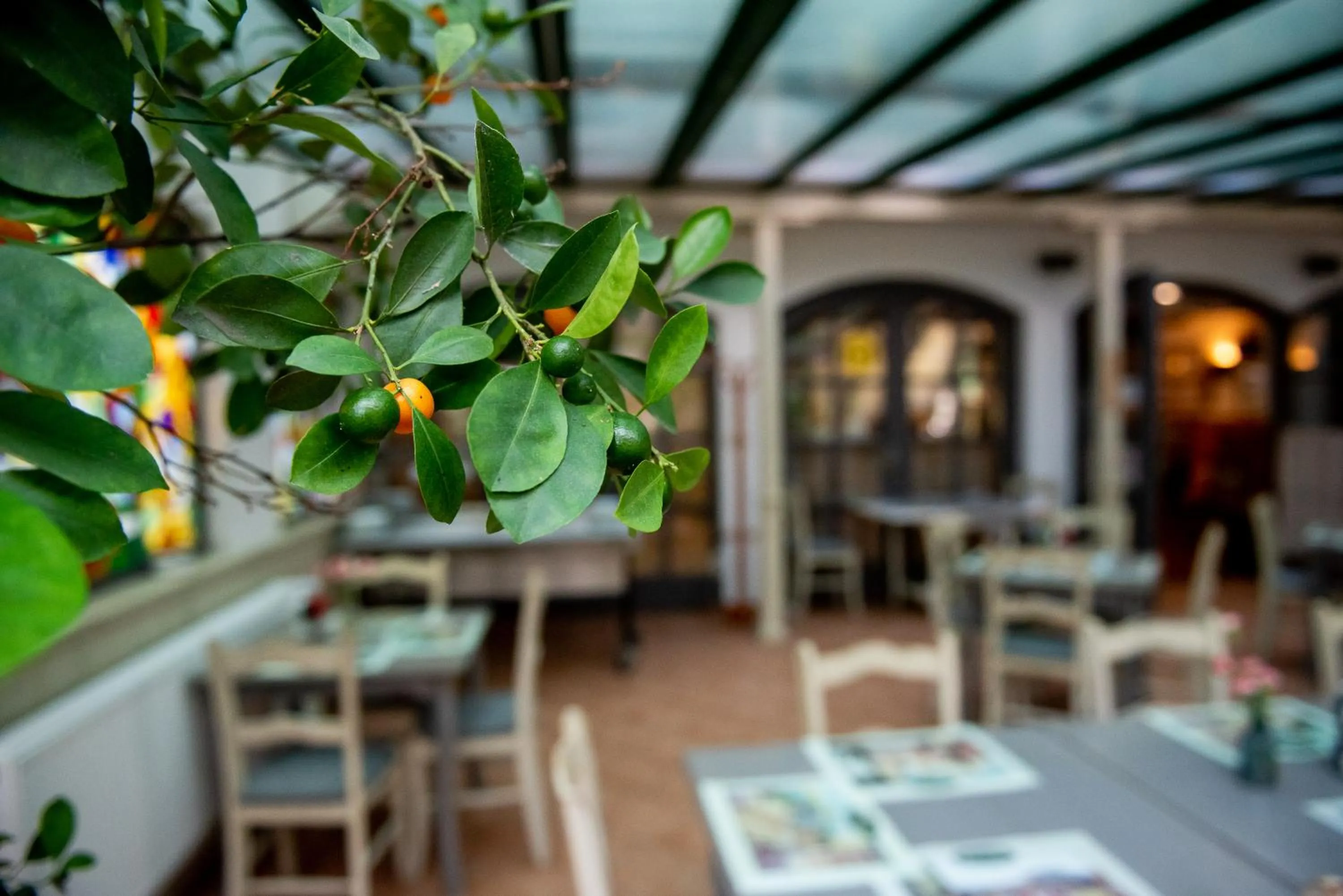 Restaurant/places to eat in Nyerges Hotel Termál Superior