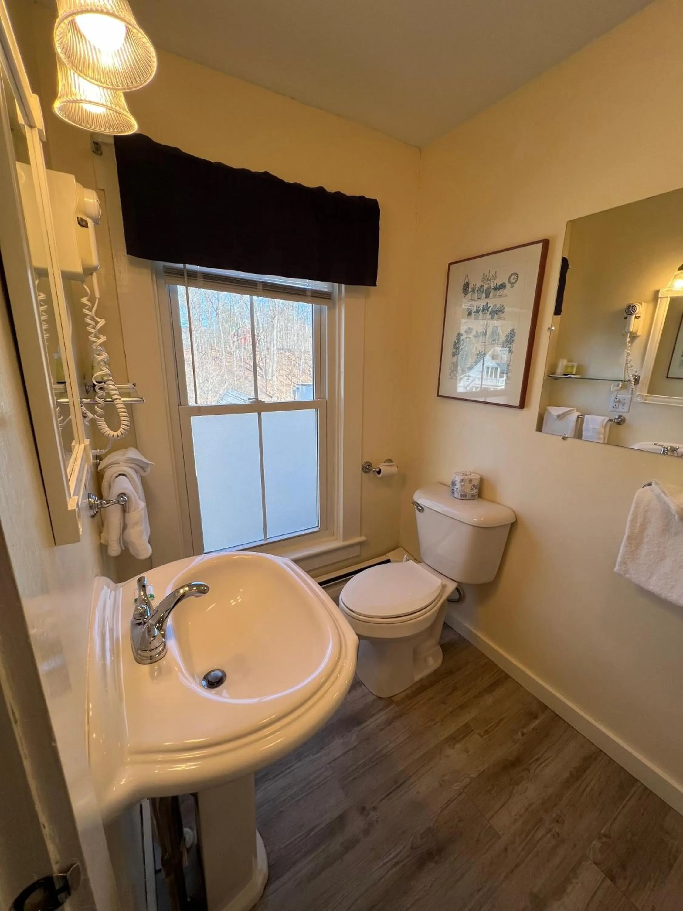 Toilet in Echo Lake Inn