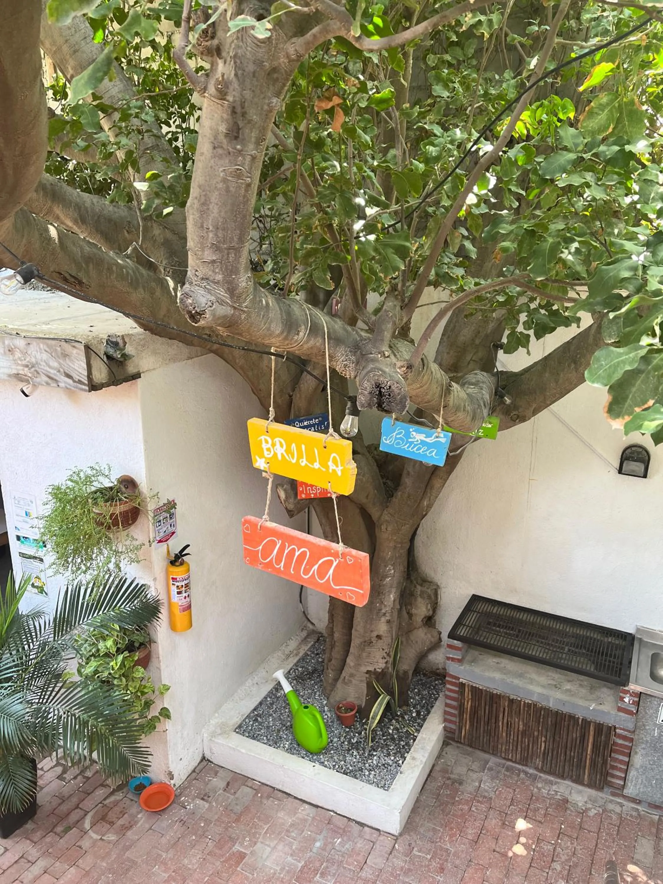 BBQ facilities in Ocean lovers Apartamentos