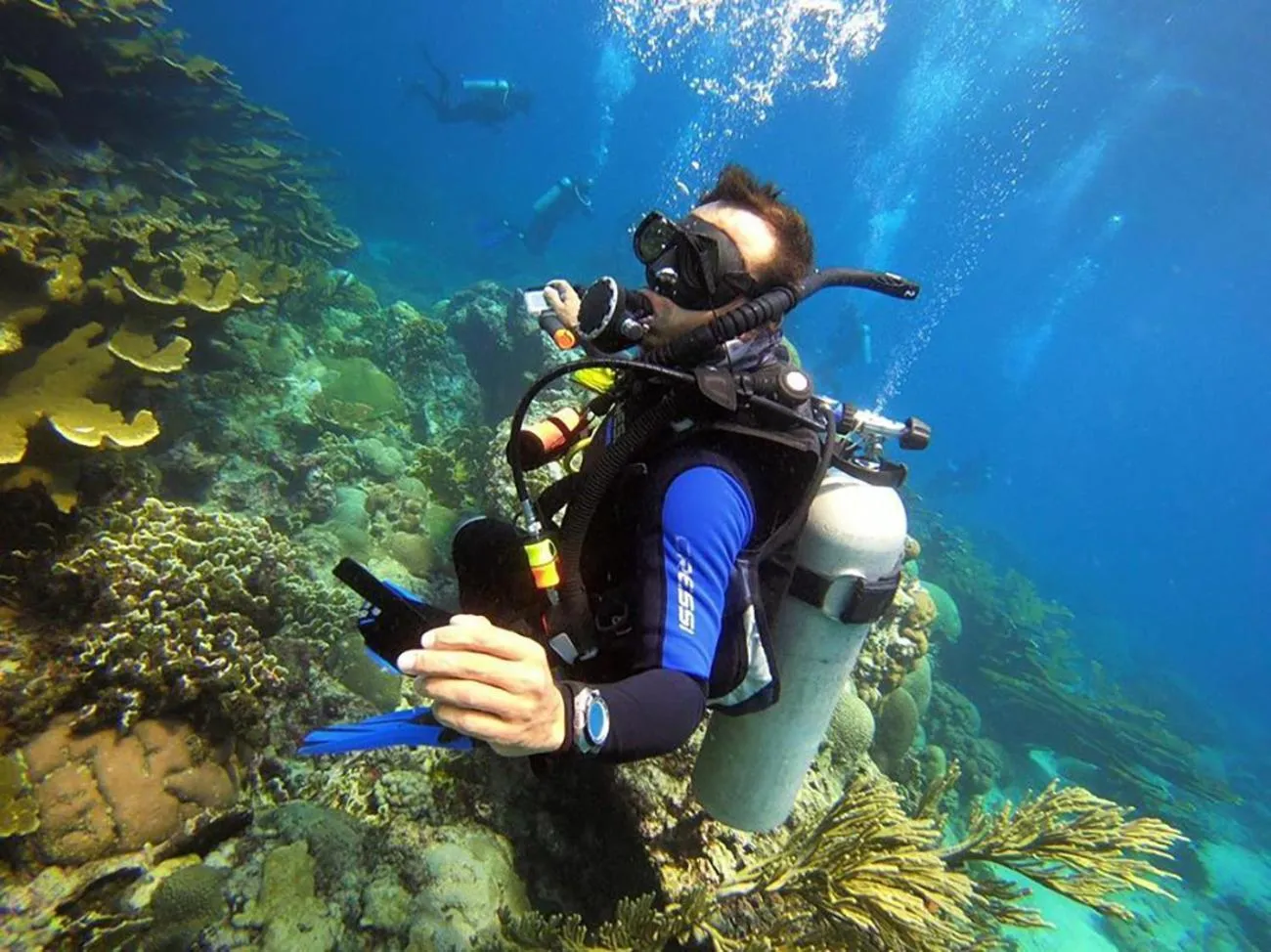Diving in Ocean lovers Apartamentos