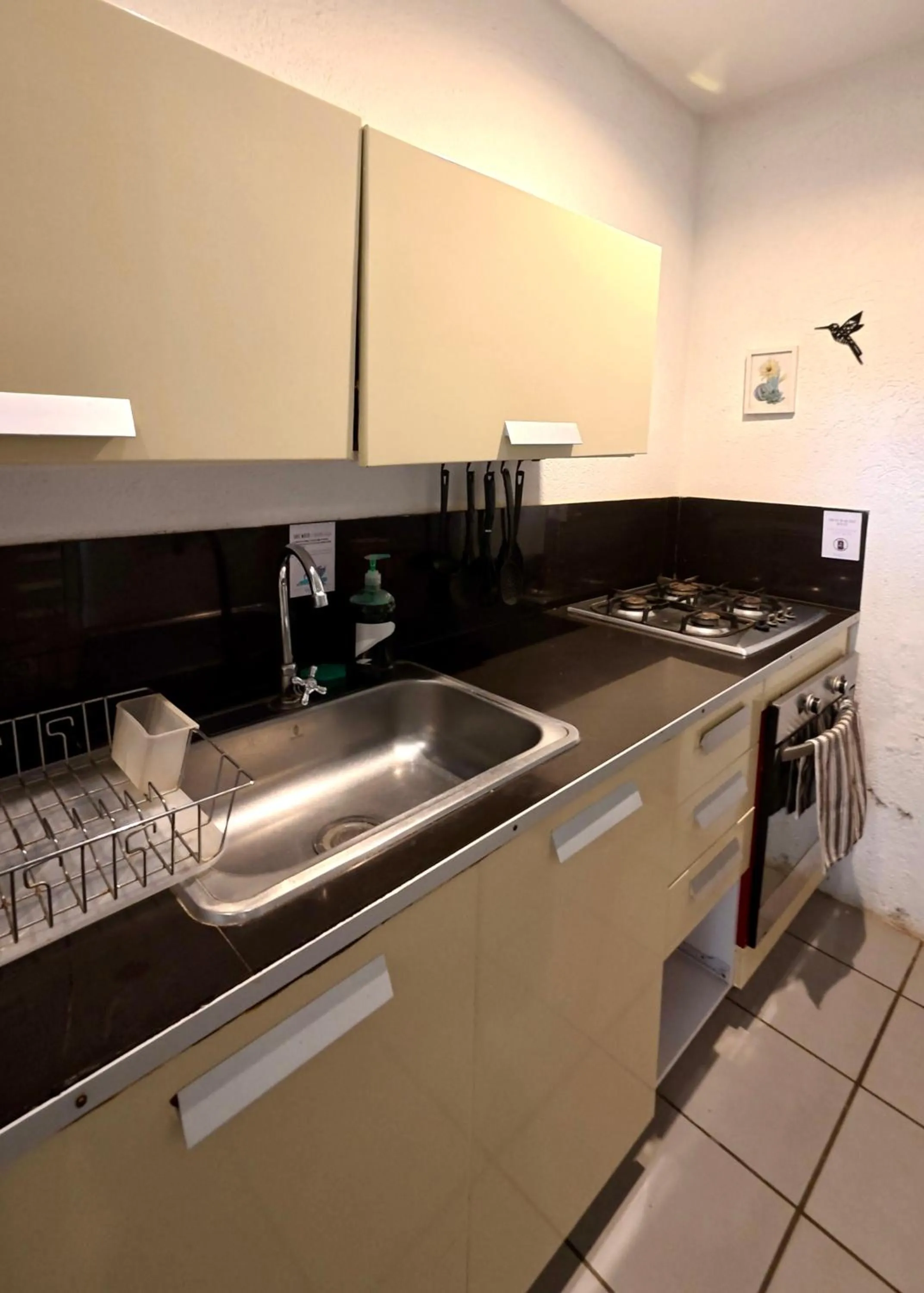 Communal kitchen in Ocean lovers Apartamentos