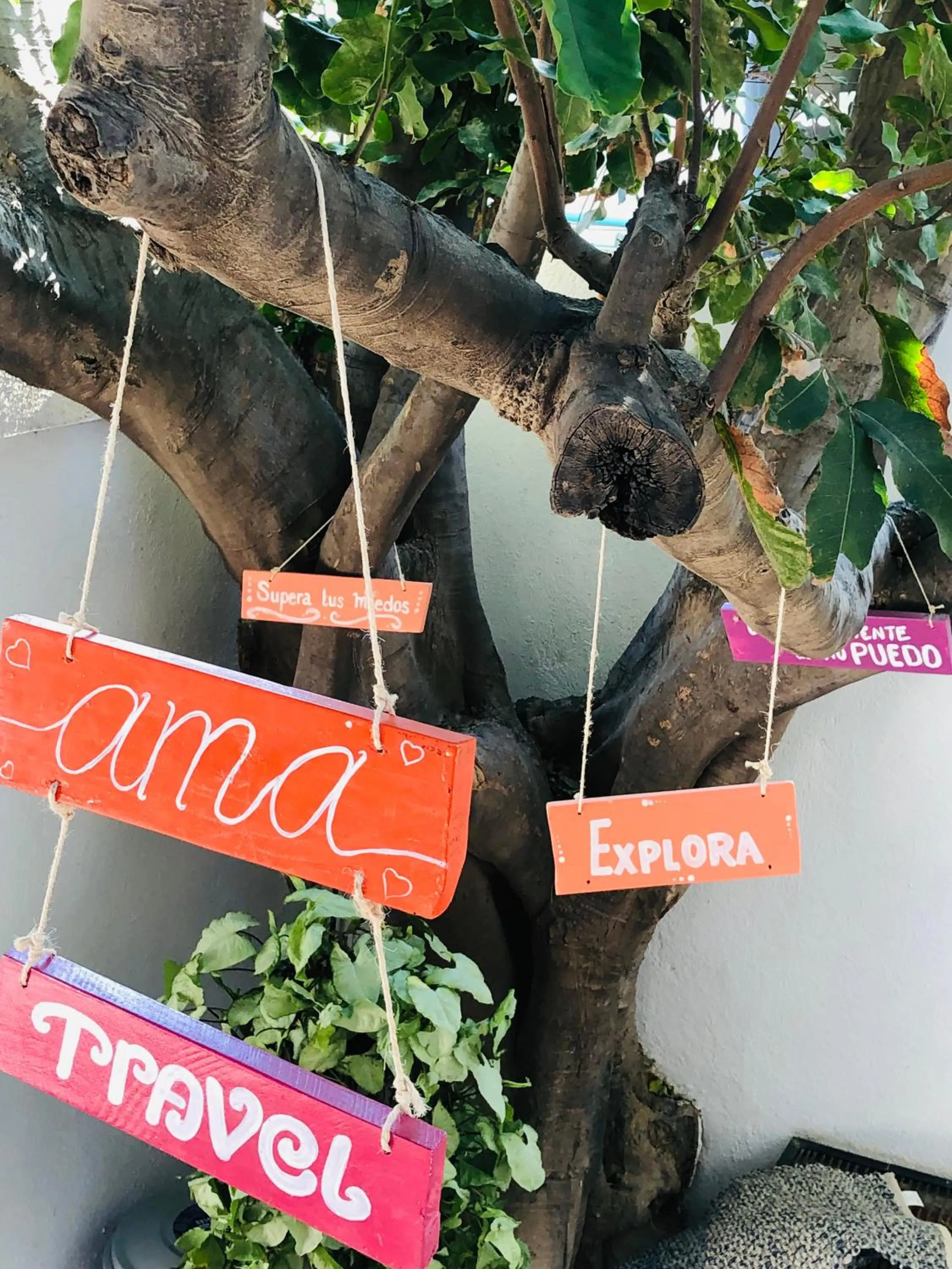 Logo/Certificate/Sign in Ocean lovers Apartamentos
