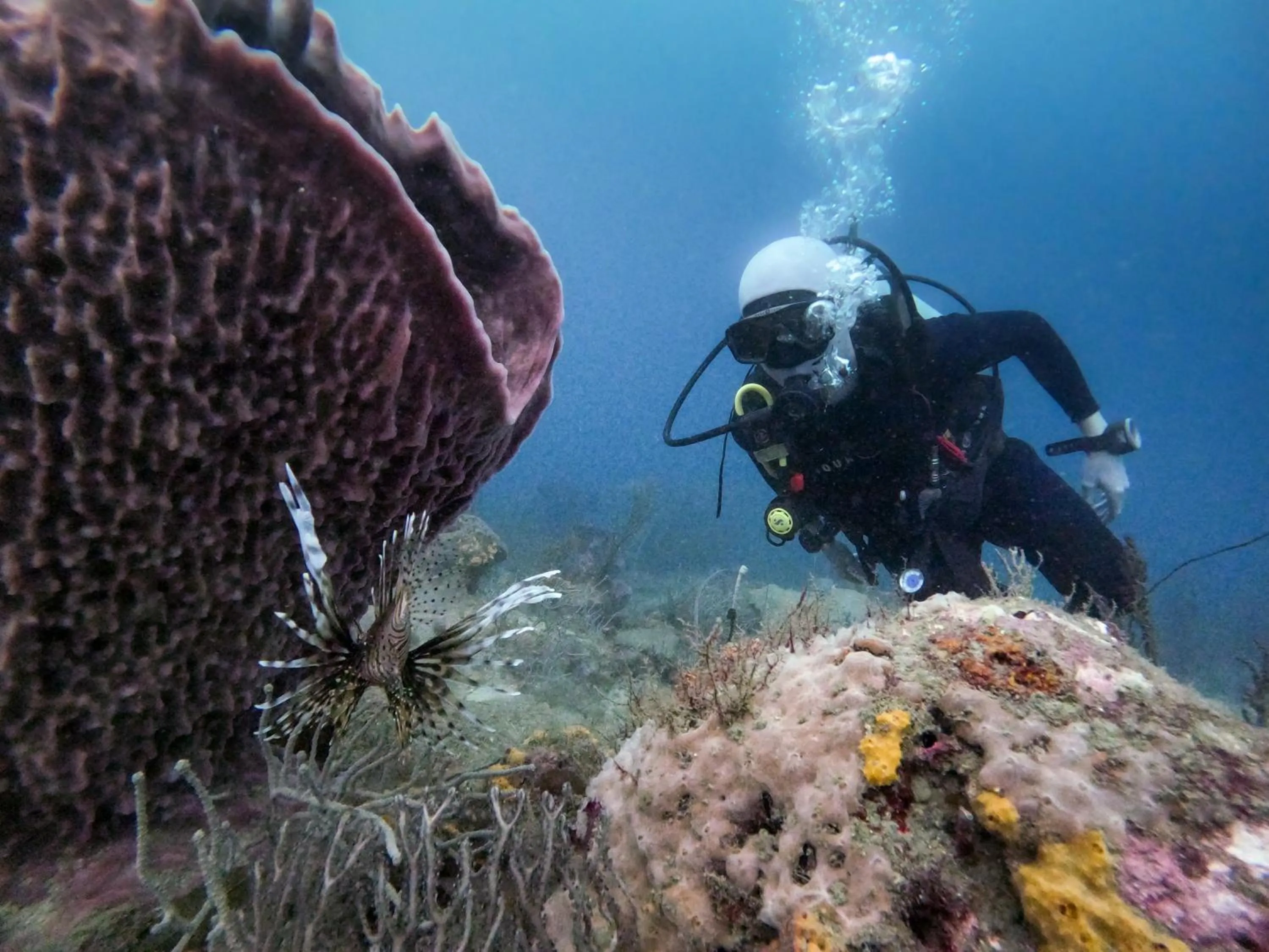 Diving in Ocean lovers Apartamentos