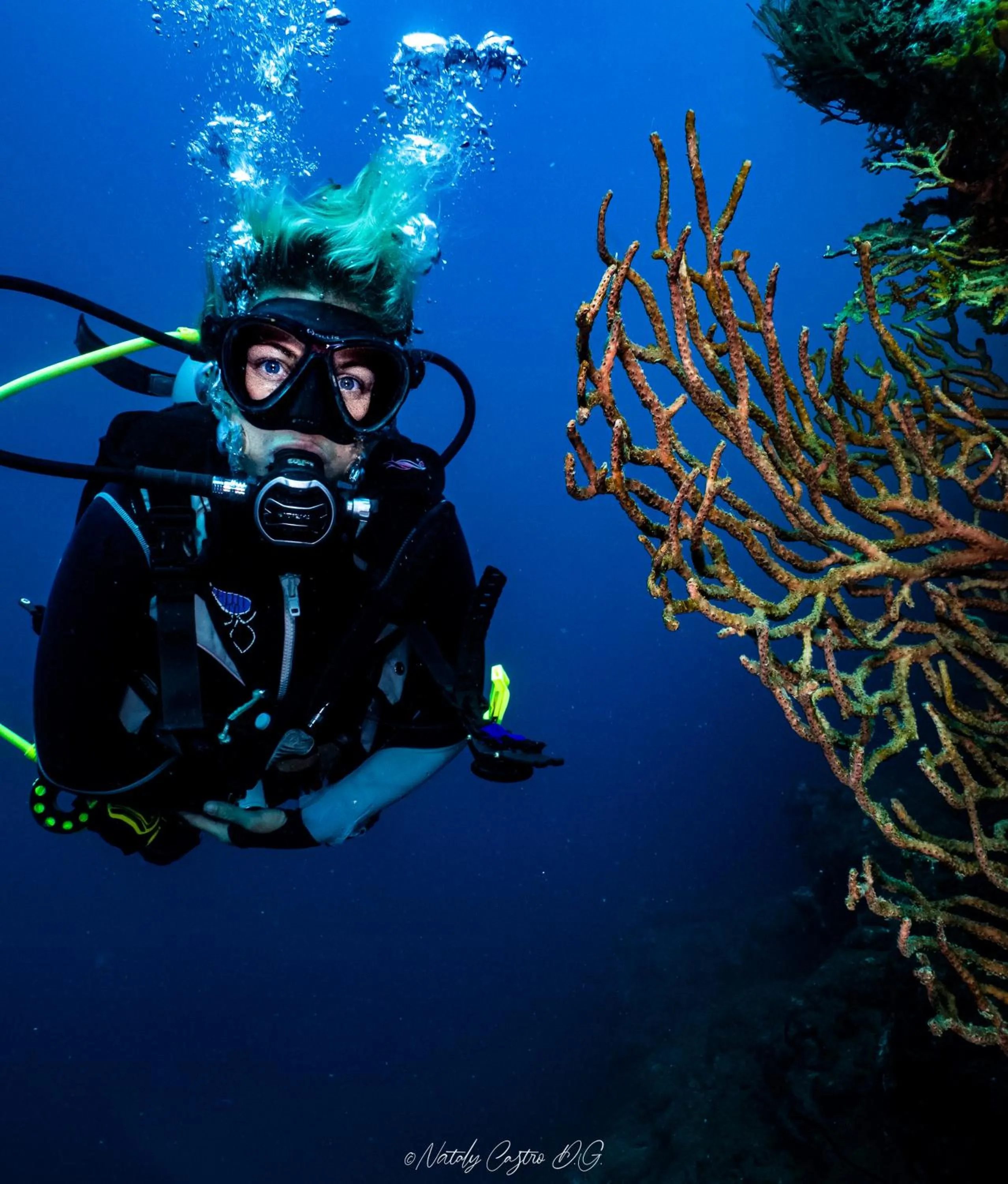Activities in Ocean lovers Apartamentos
