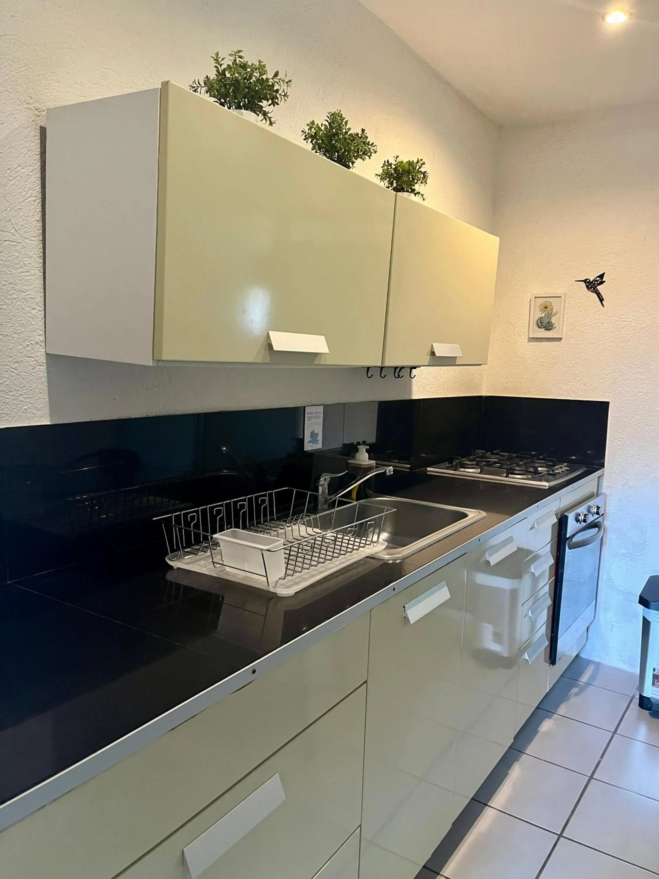 Kitchen or kitchenette in Ocean lovers Apartamentos