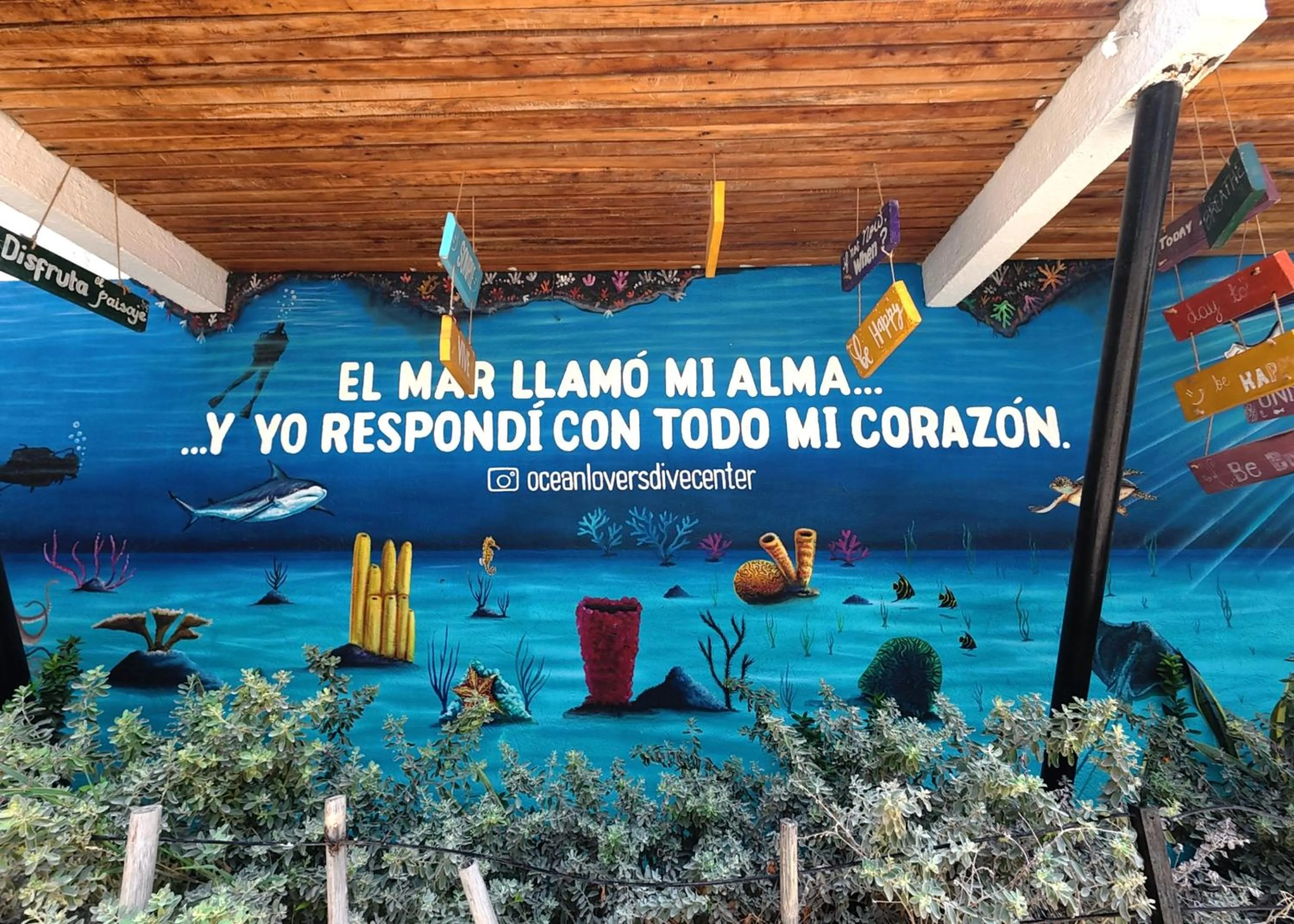 Property logo or sign in Ocean lovers Apartamentos